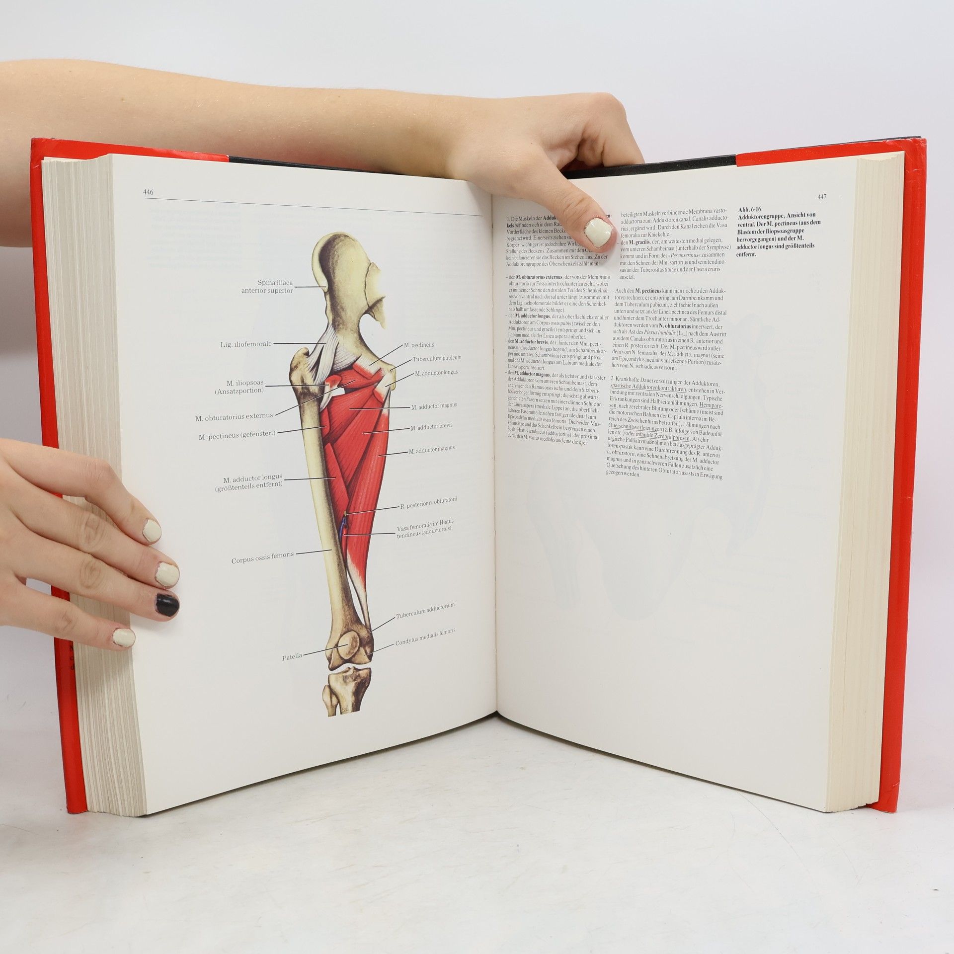 Klaus Ulrich Benner Klinische Anatomie