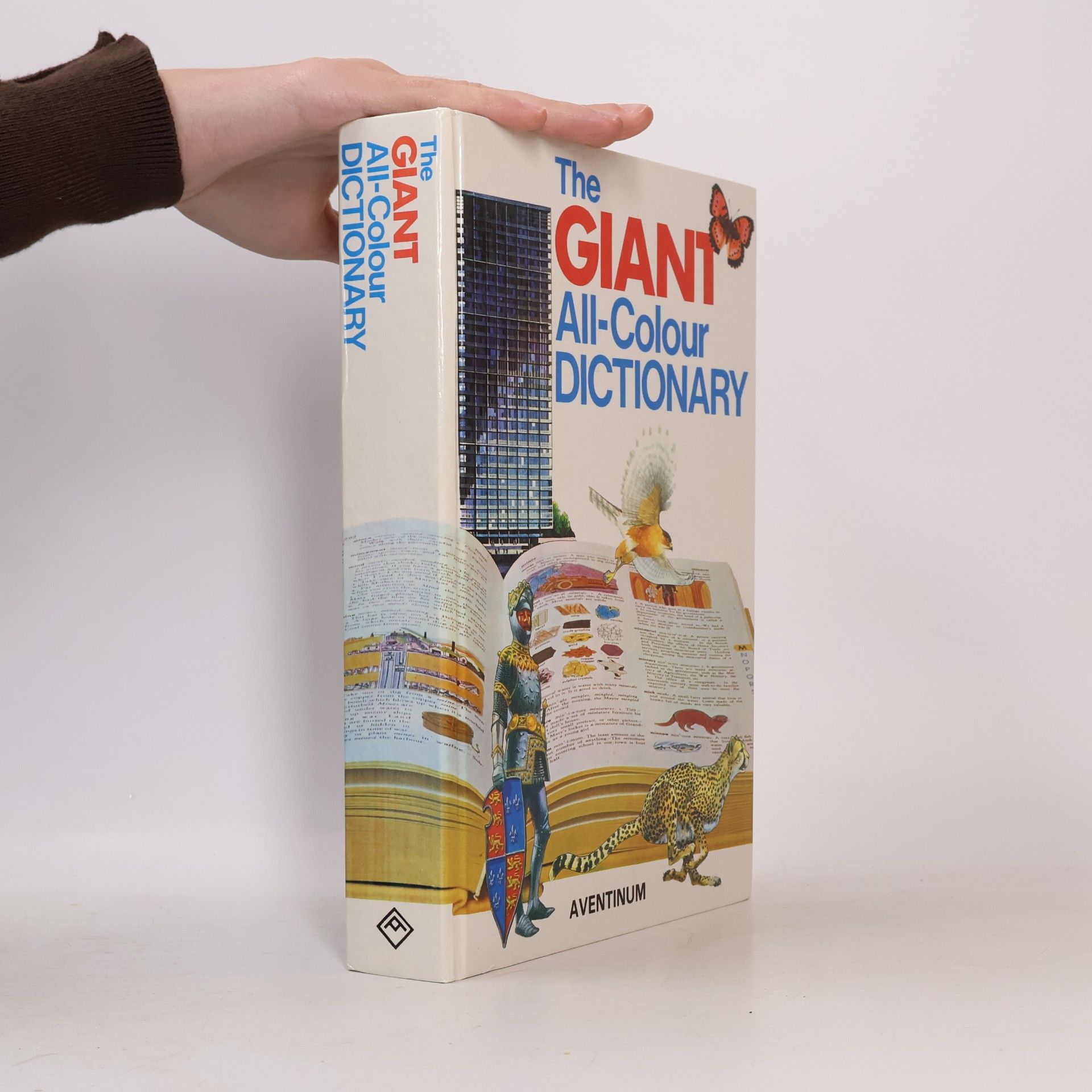 Stuart A. Courtis The Giant All-Colour Dictionary