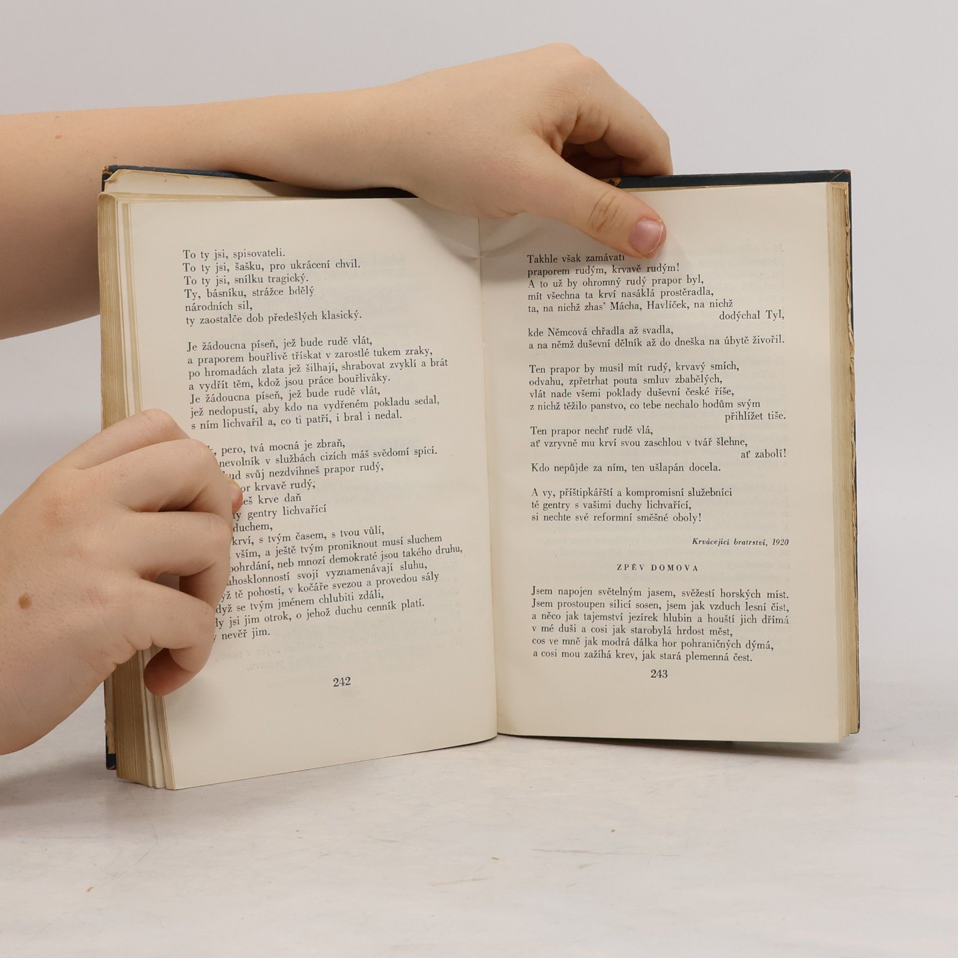 kolektiv Česká poesie. Výbor básní XIX. a XX. století