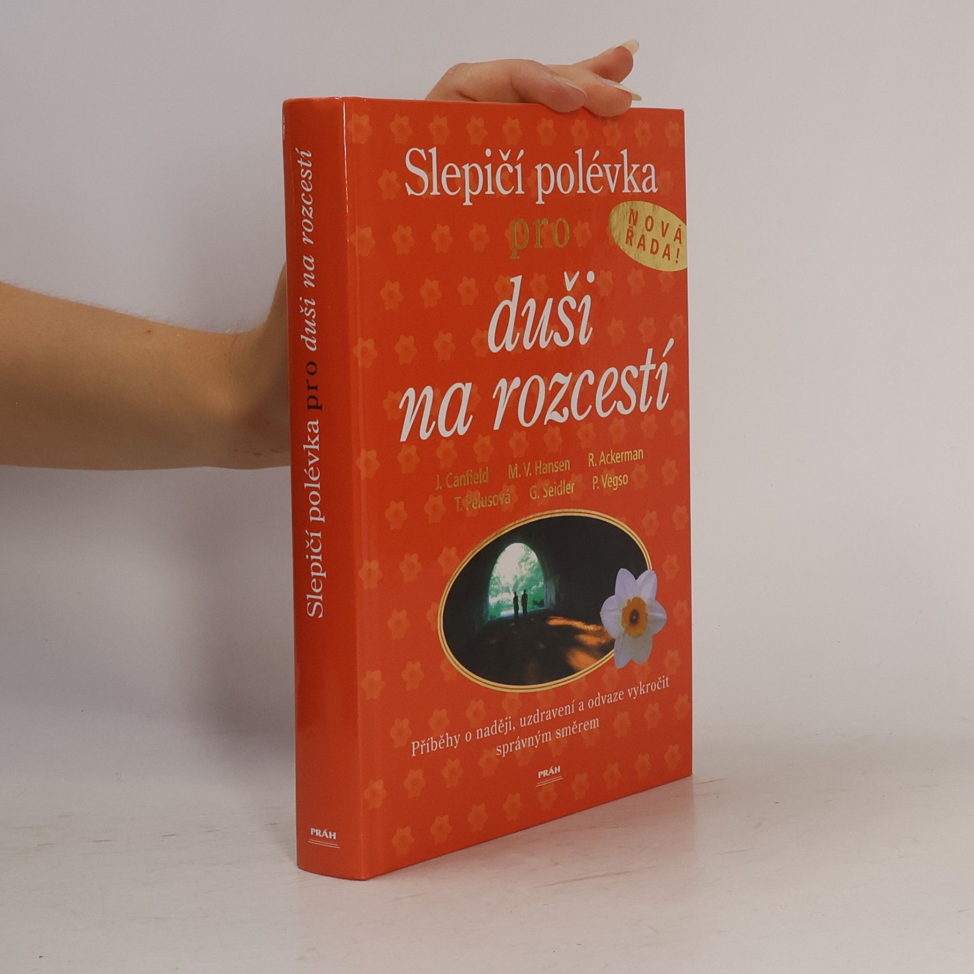 Jack Canfield Slepičí polévka pro duši na rozcestí
