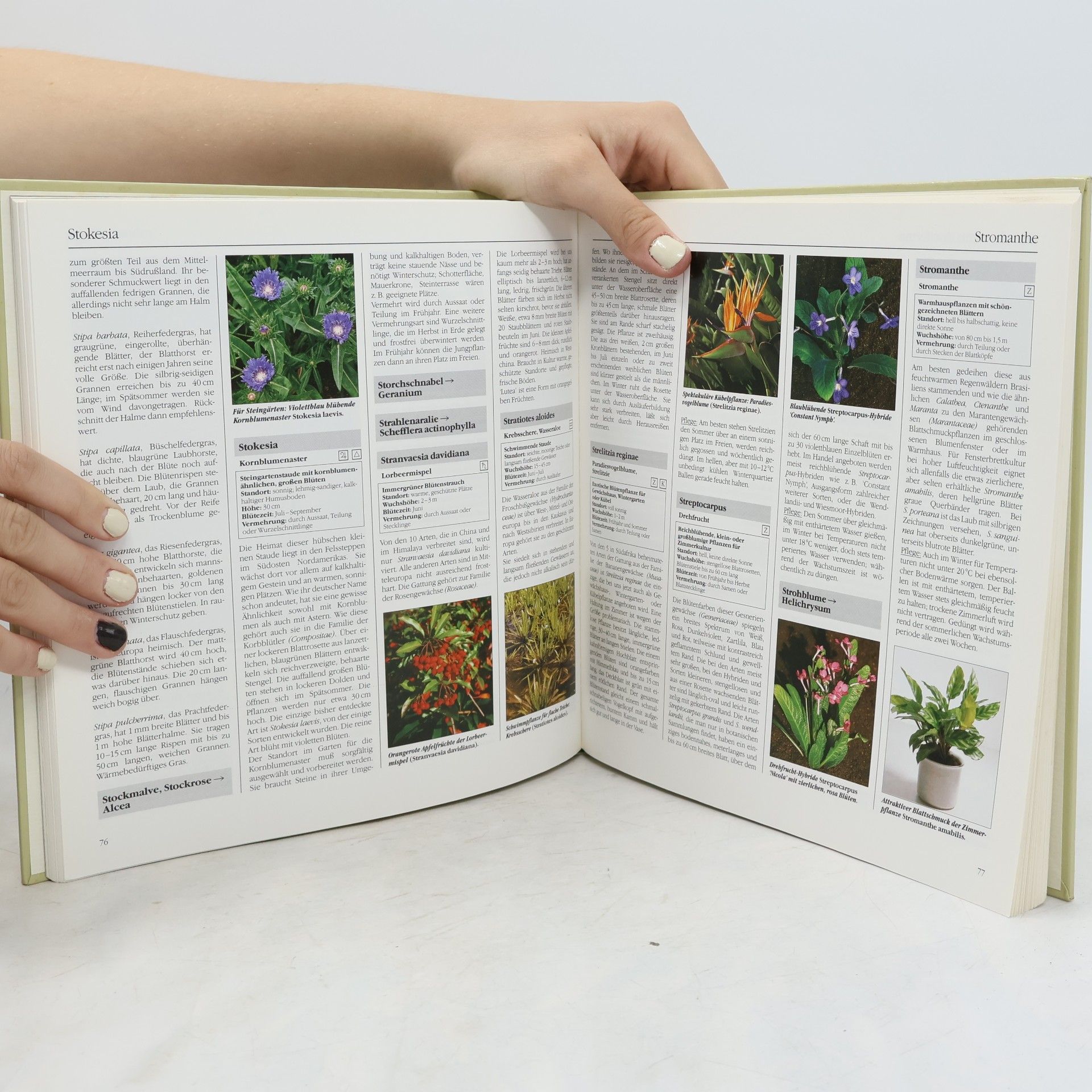 kolektiv Bertelsmann Gartenlexikon 8