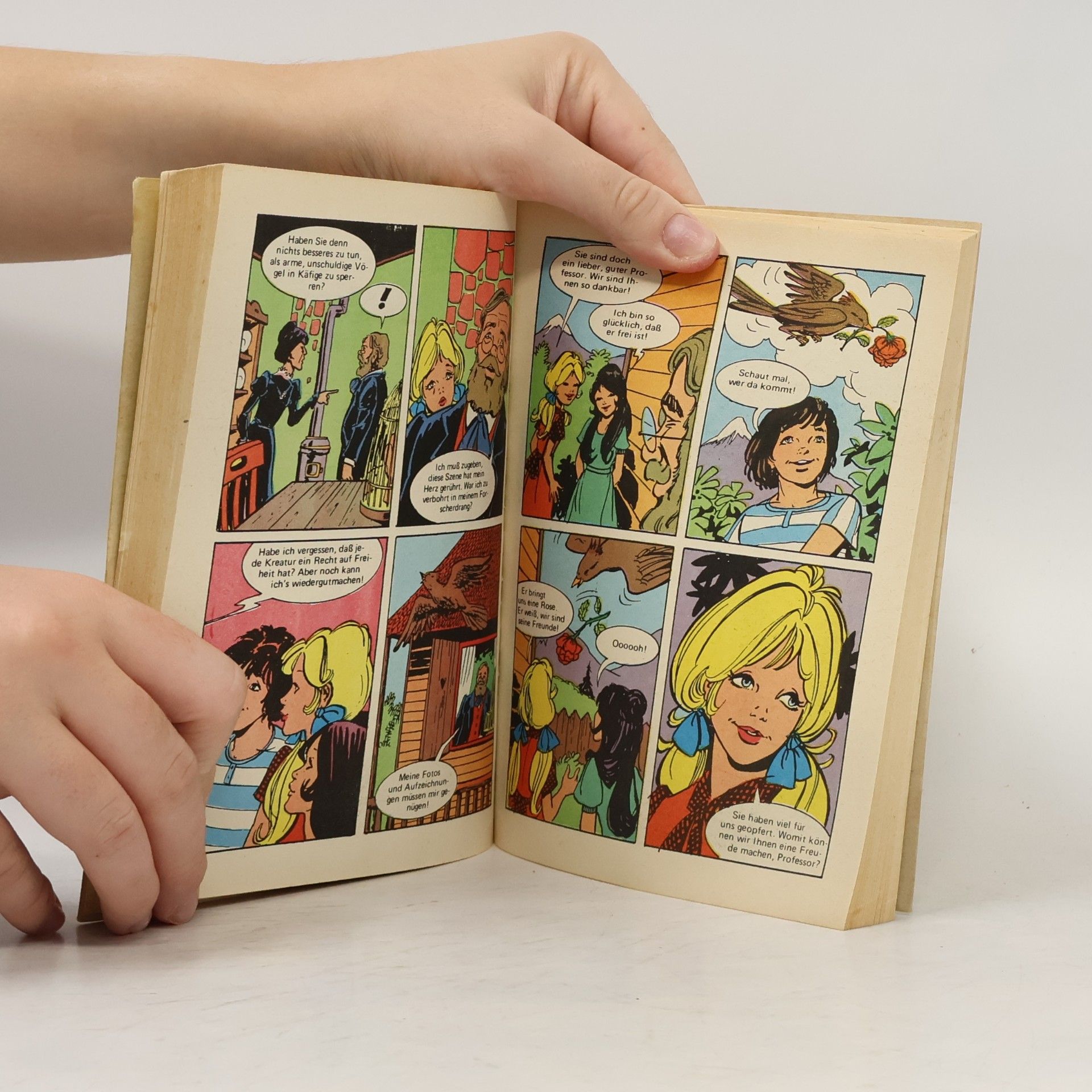 Johanna Spyri Heidi Comic Taschenbuch 2