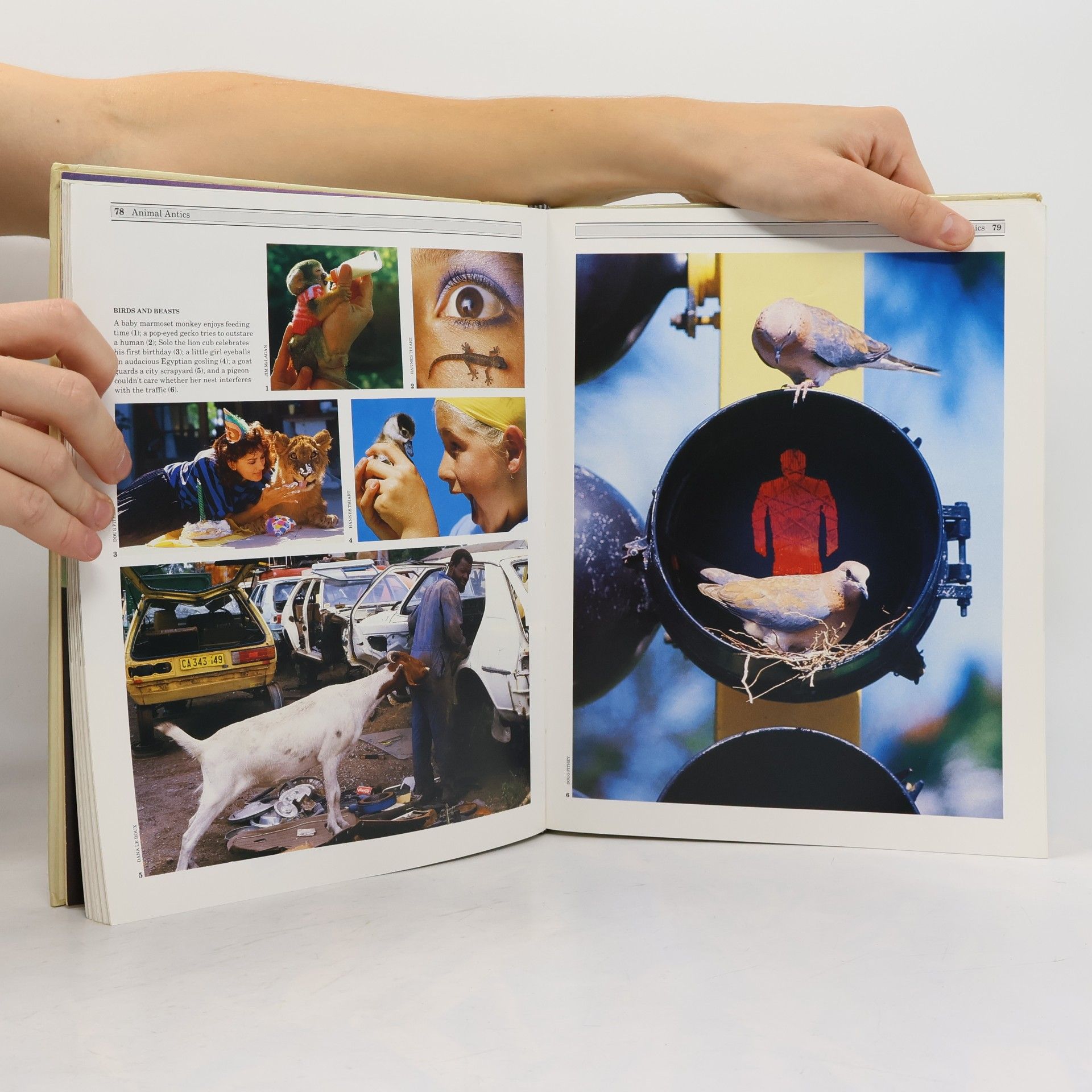 The Argus Book of Press Photographs