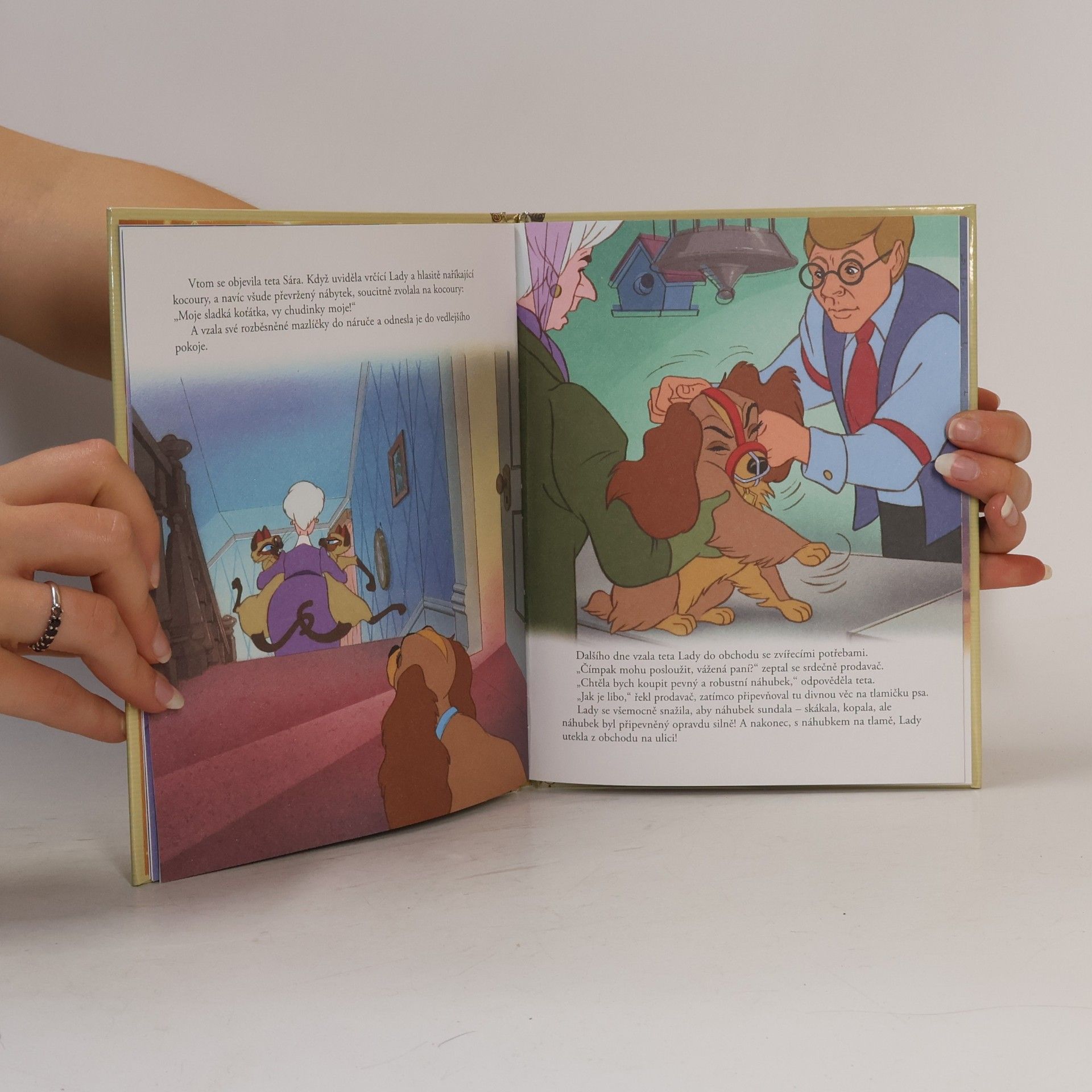 Walt Disney Zlatá sbírka pohádek 31. Lady a Tramp
