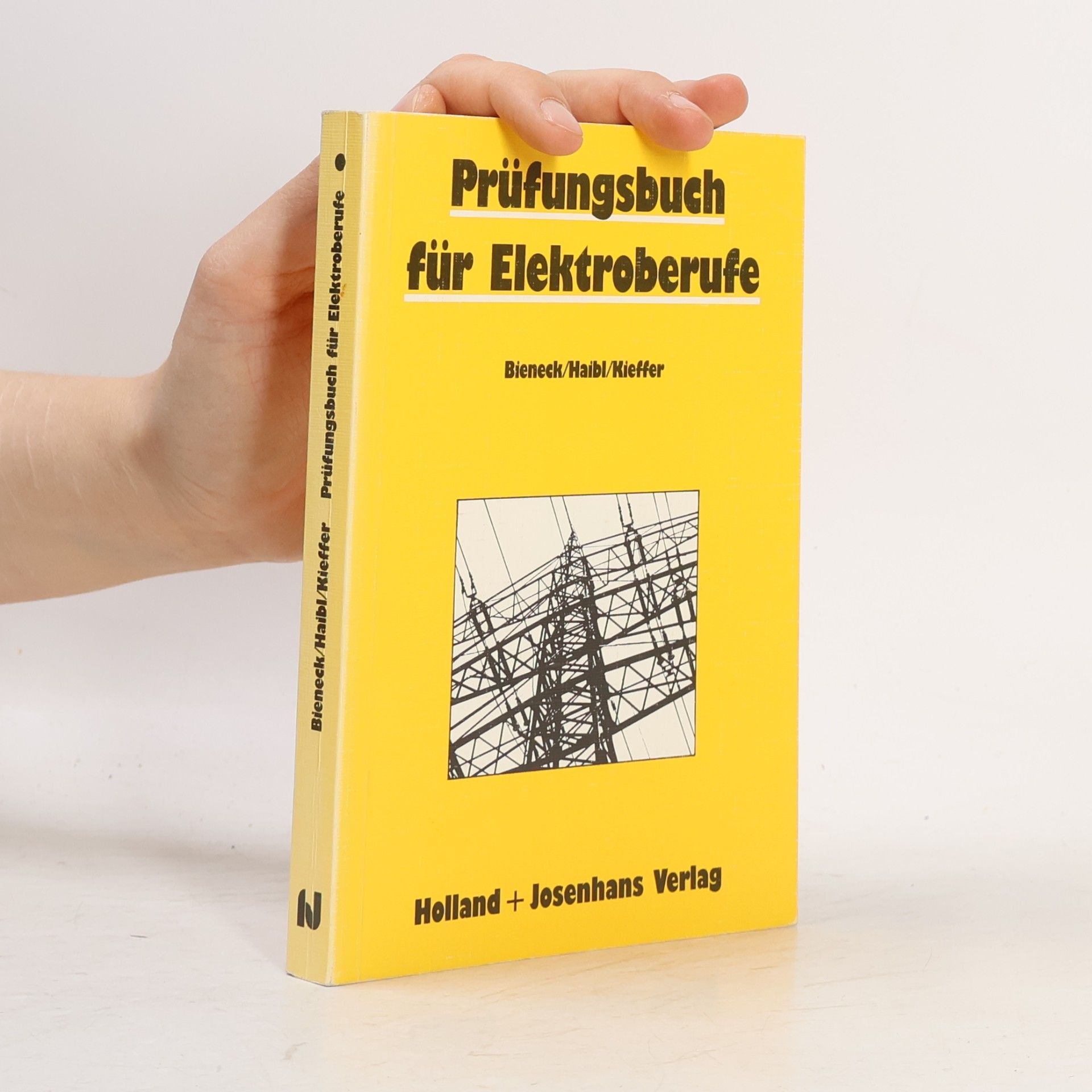 Wolfgang Bieneck Prüfungsbuch für Elektroberufe