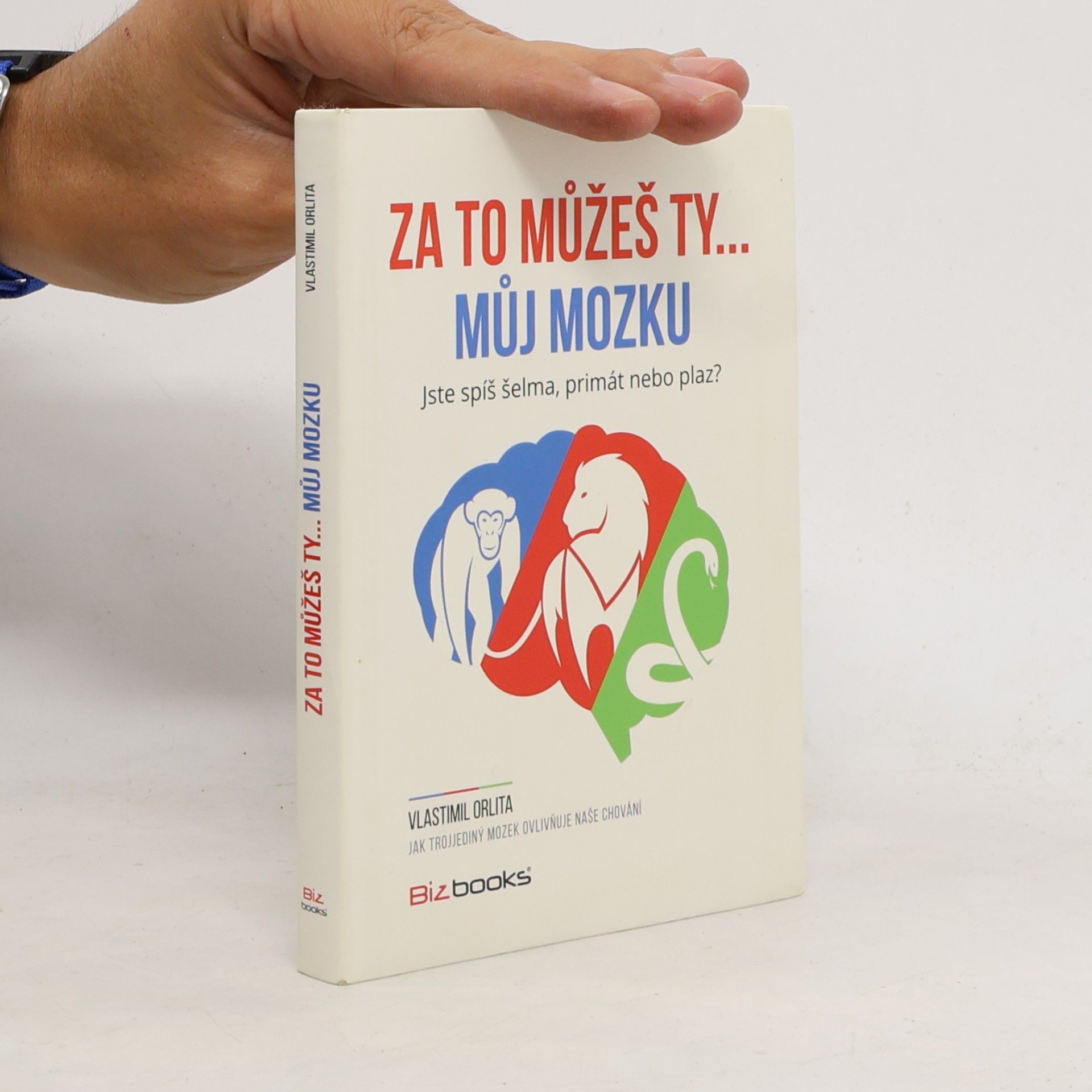 Vlastimil Orlita Za to můžeš ty... můj mozku!