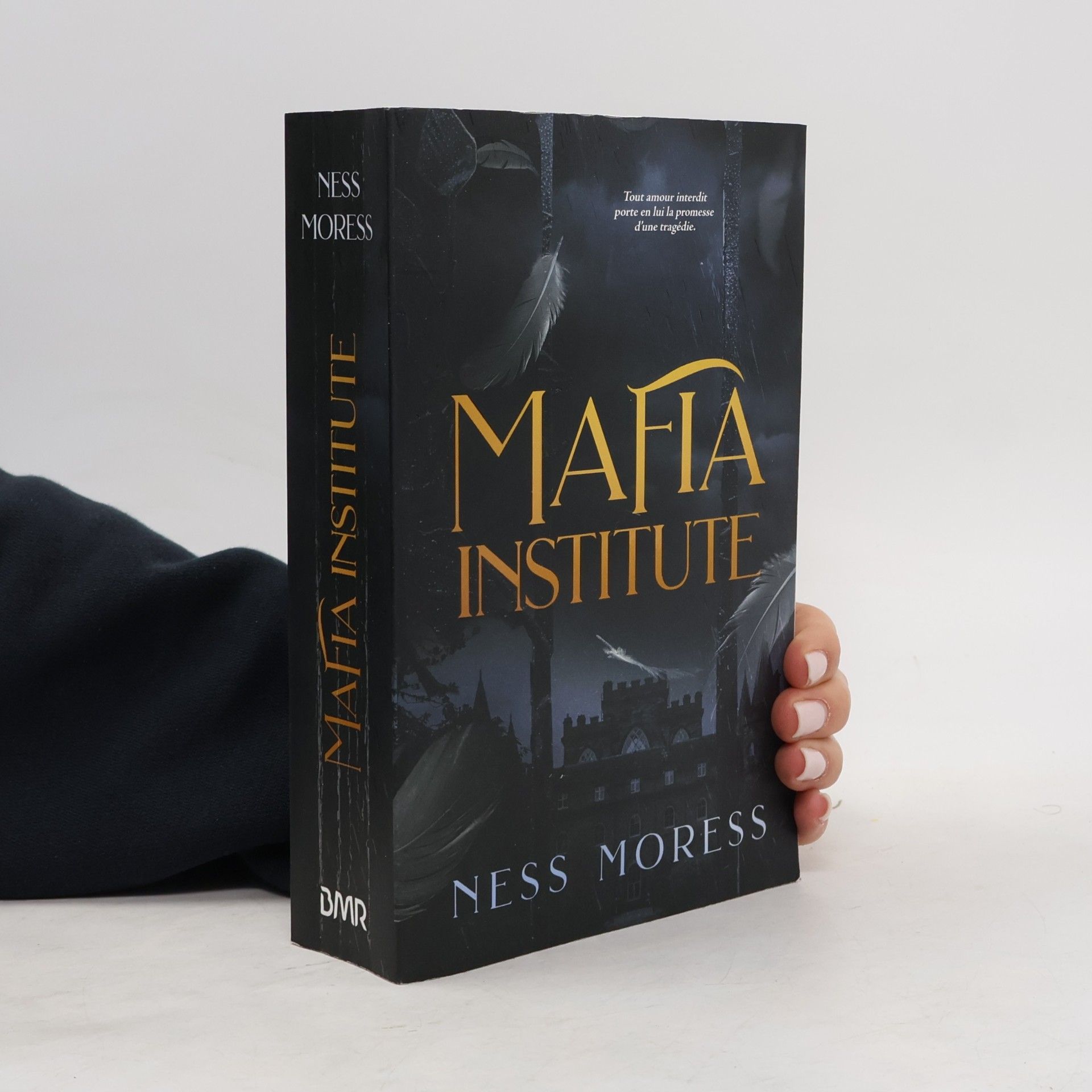 Ness Moress Mafia Institute: Le phénomène Wattpad Mafia Academy