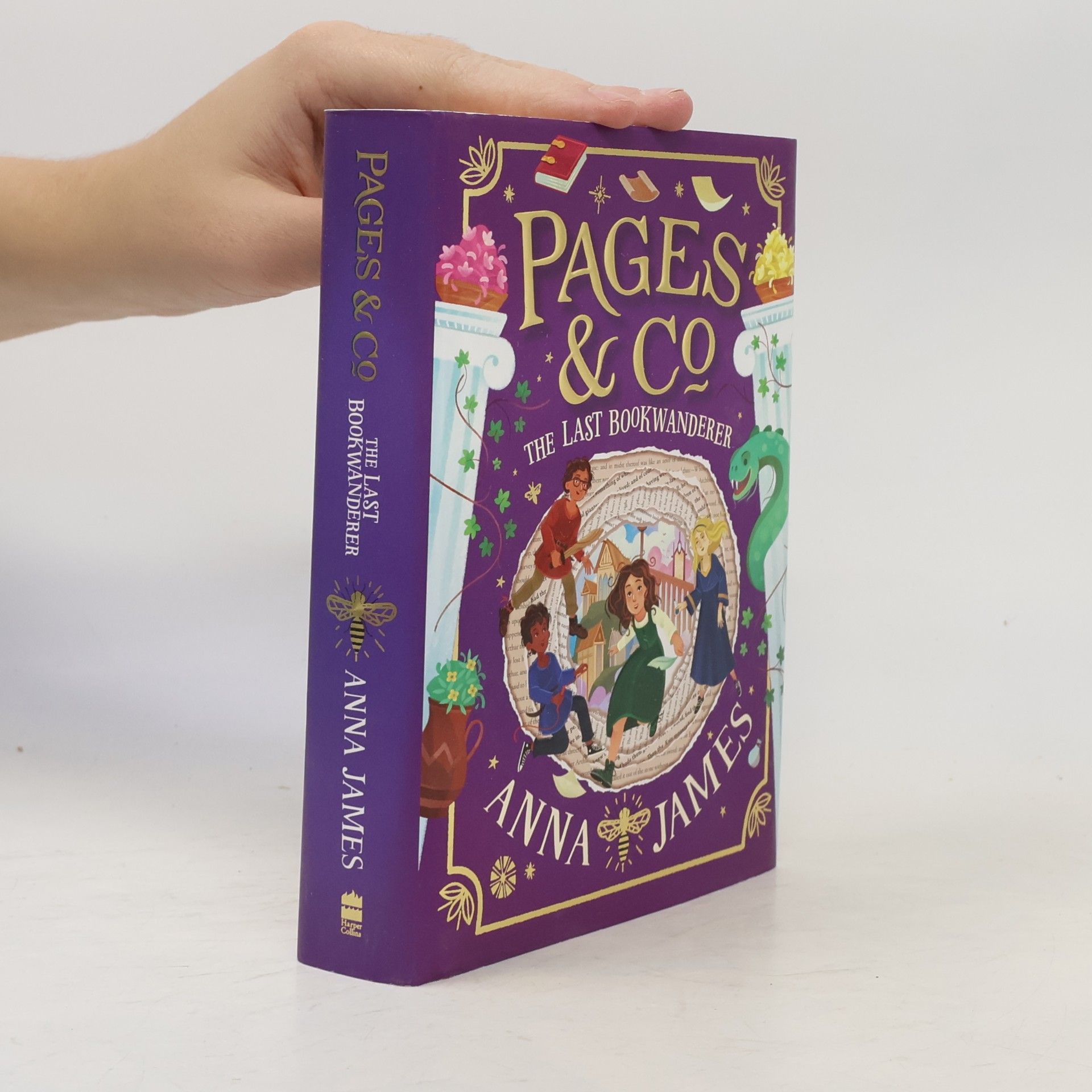 Anna James Pages & Co.: The Last Bookwanderer
