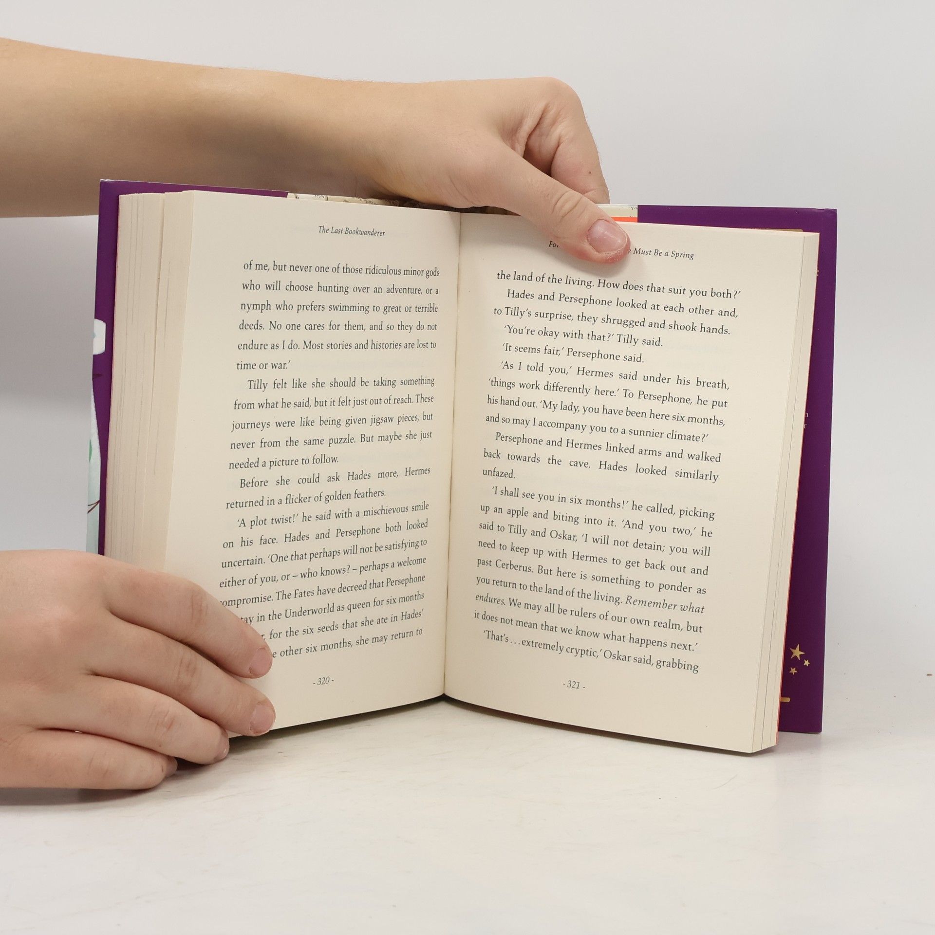 Anna James Pages & Co.: The Last Bookwanderer