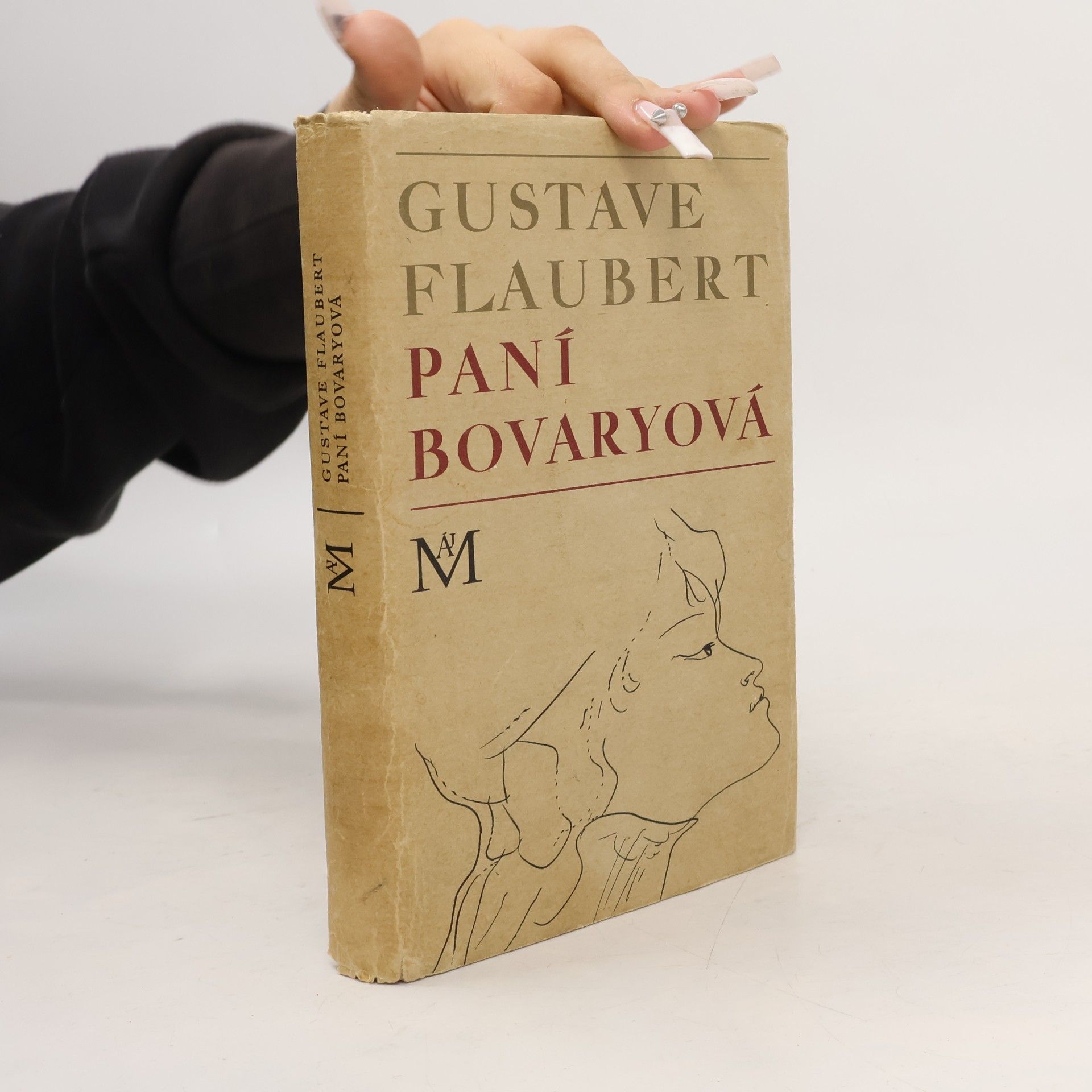 Gustave Flaubert Paní Bovaryová