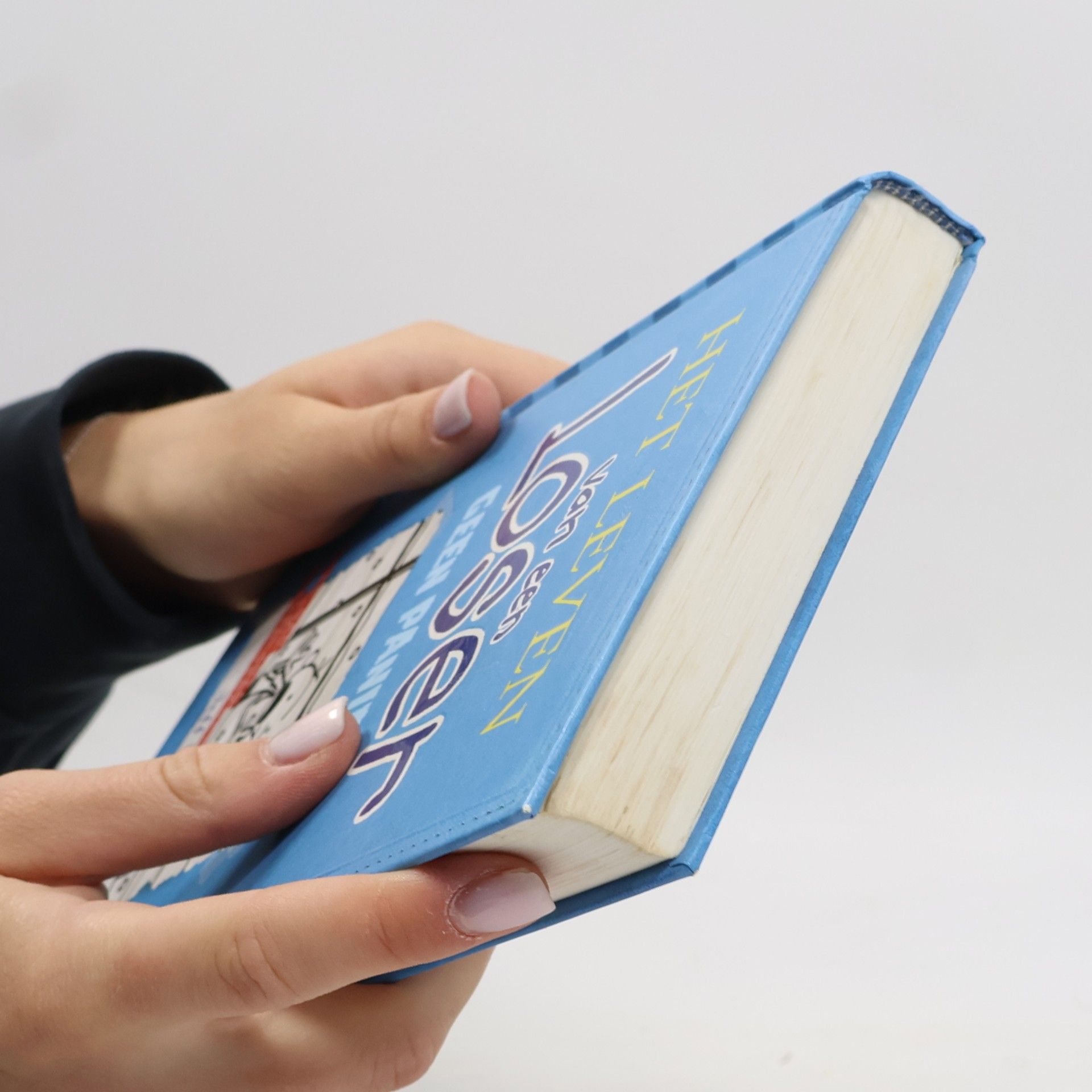 Jeff Kinney Het leven van een loser - 6: Geen paniek!