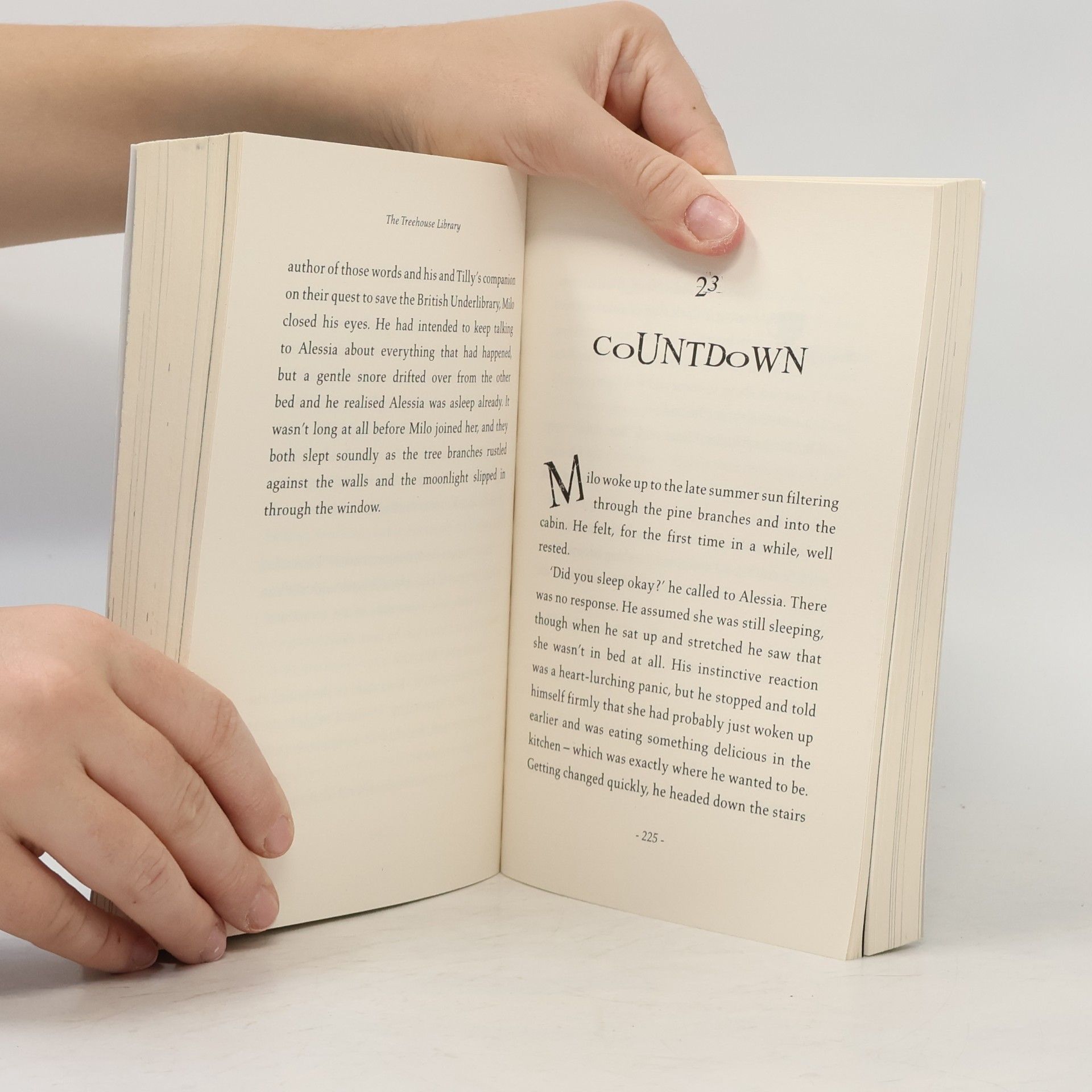 Anna James Pages & Co.05: The Treehouse Library