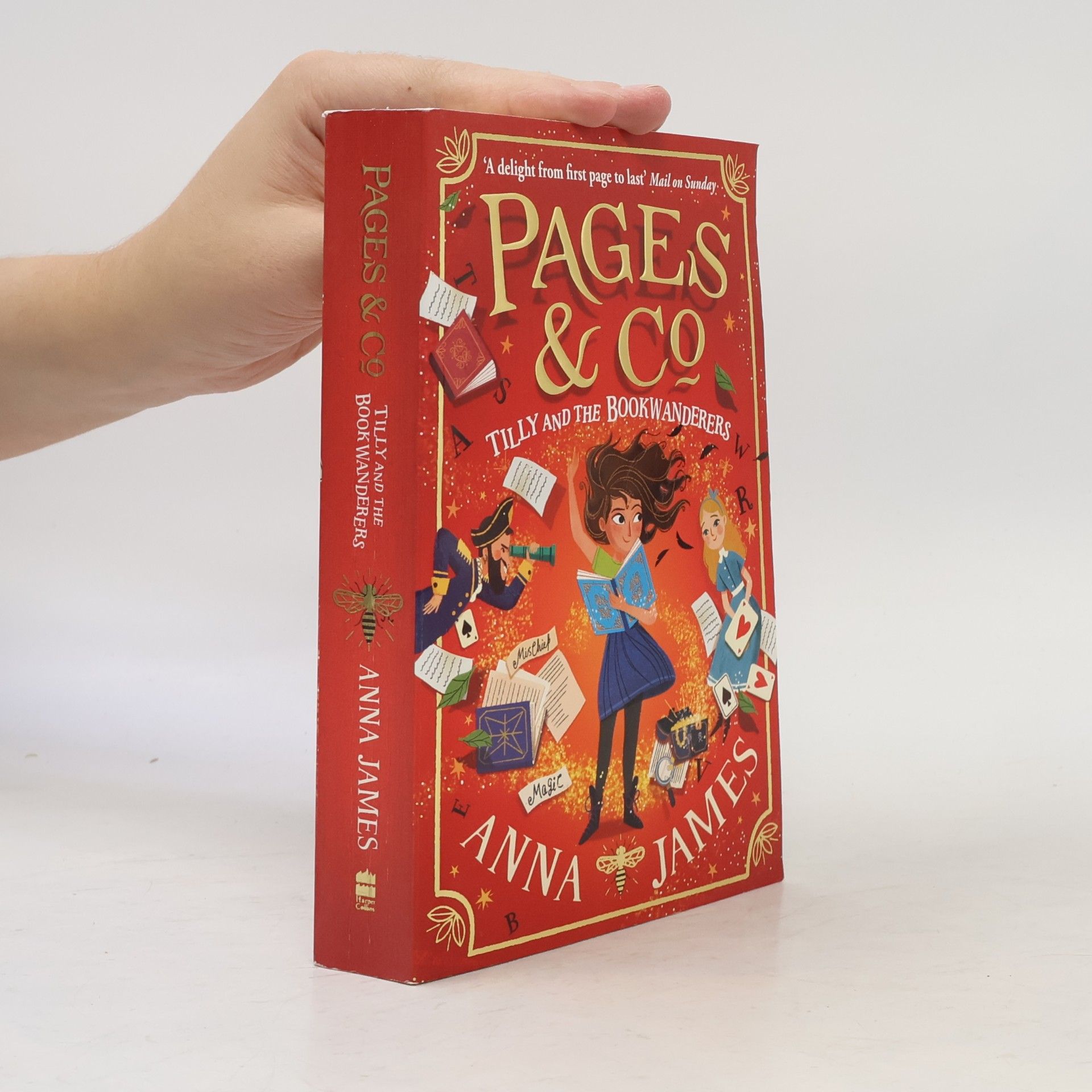 Anna James Pages & Co : Tilly and the bookwanderers