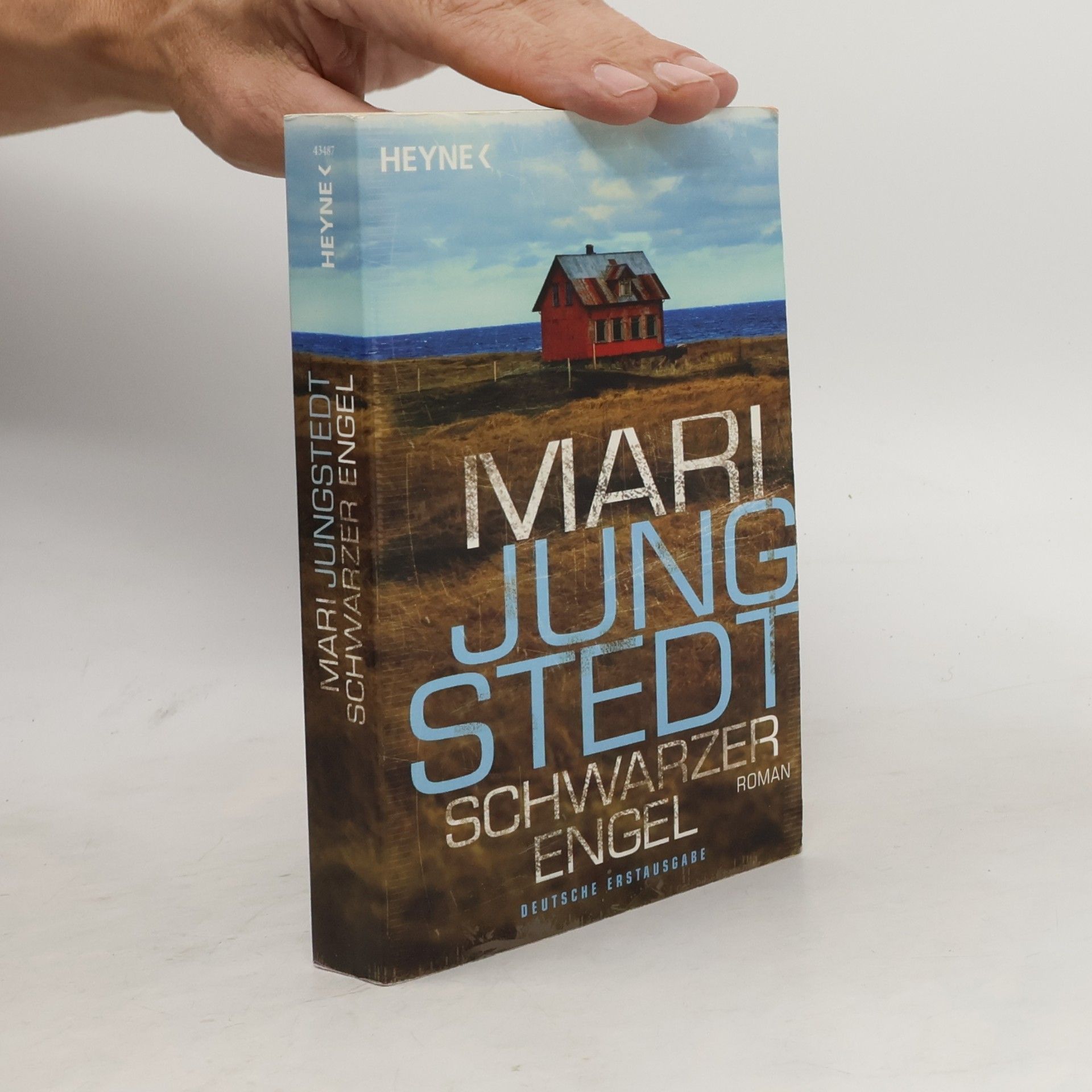 Mari Jungstedt Schwarzer Engel. Roman