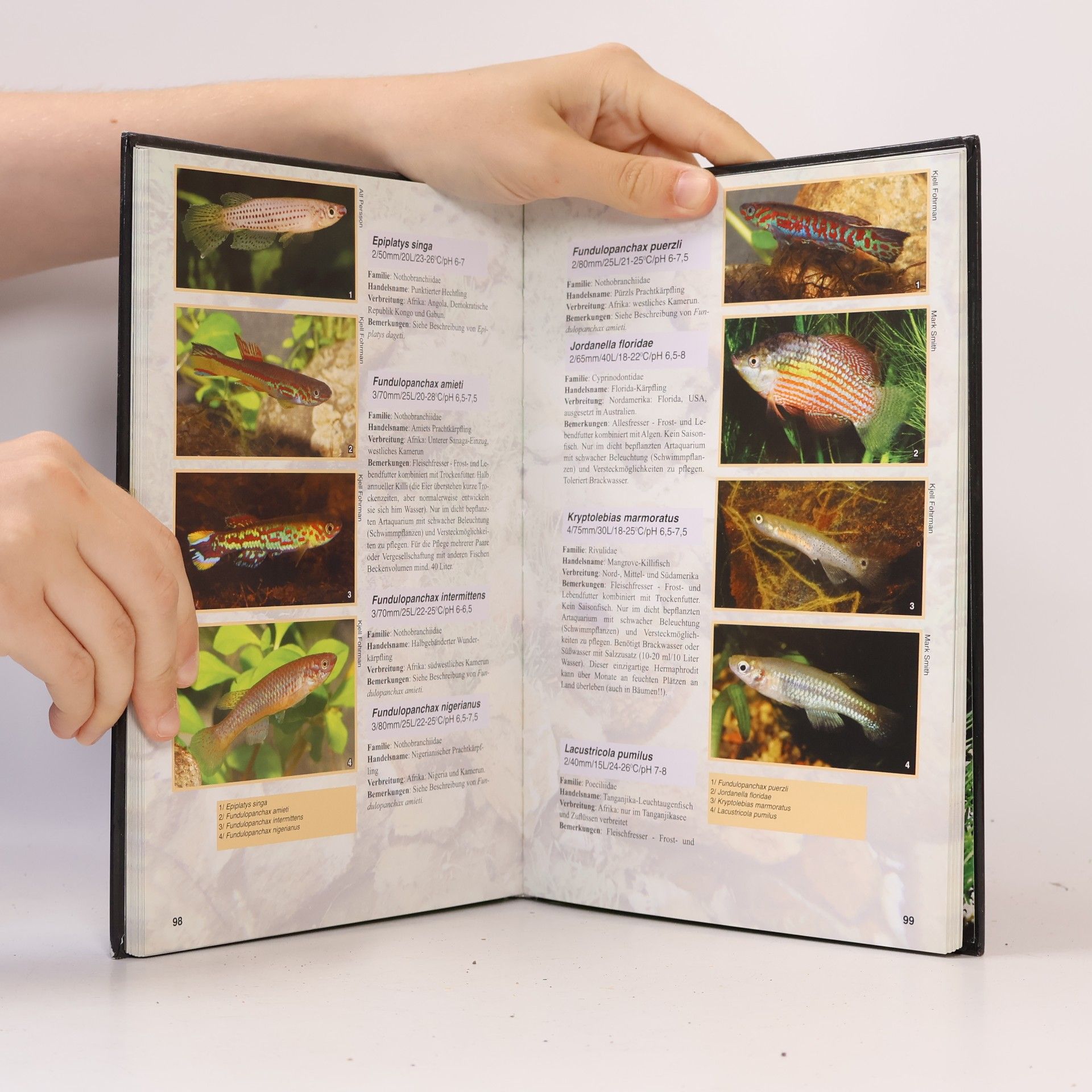 Kjell Fohrman Handbuch für Nano-Aquarien