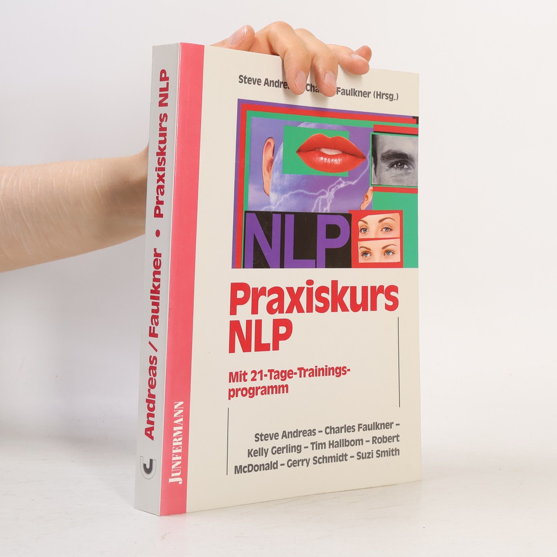 Steve Andreaas Praxiskurs NLP
