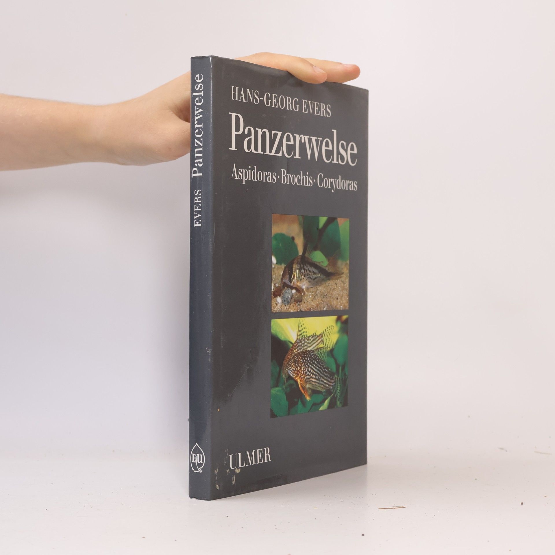 Panzerwelse