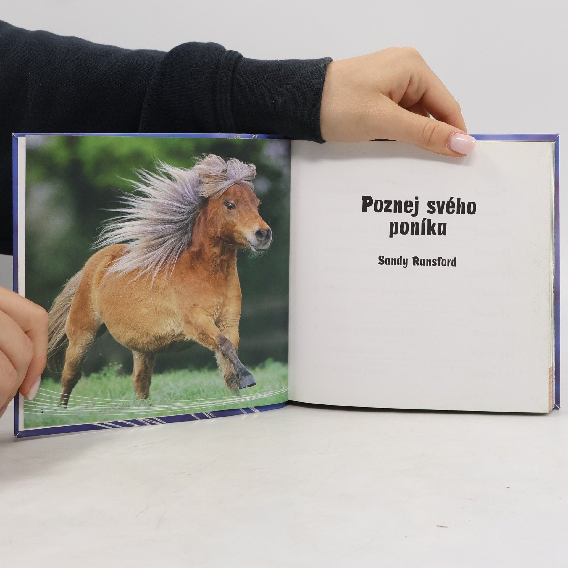 Sandy Ransford Poznej svého poníka