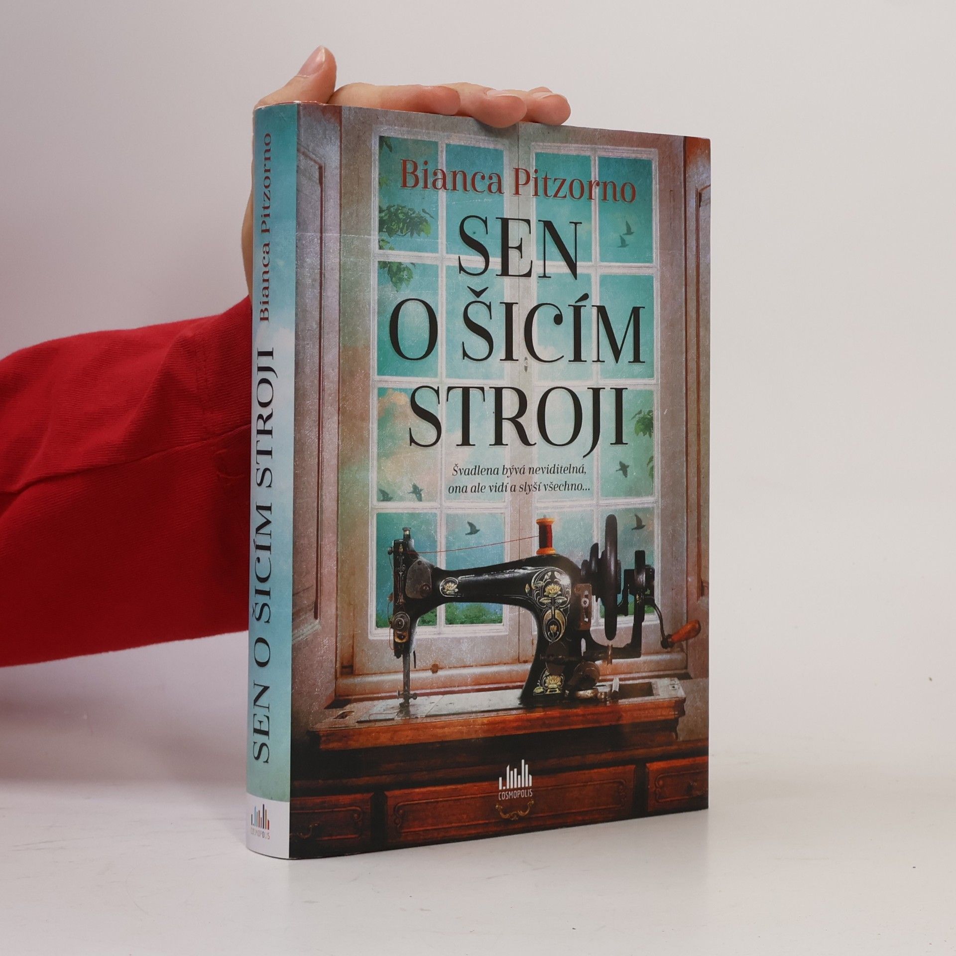 Bianca Pitzorno Sen o šicím stroji