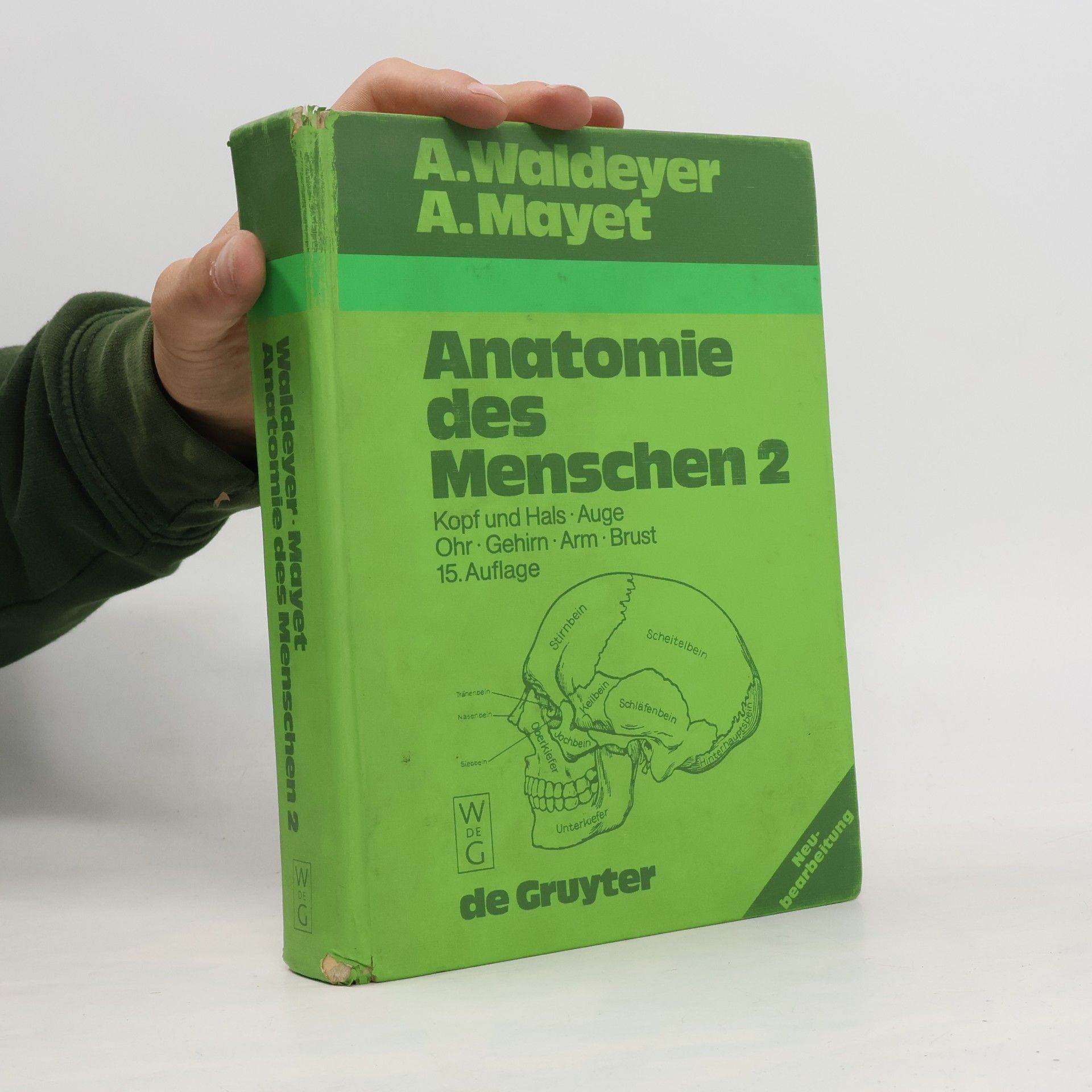 Anatomie des Menschen für Studierende und Ärzte 2