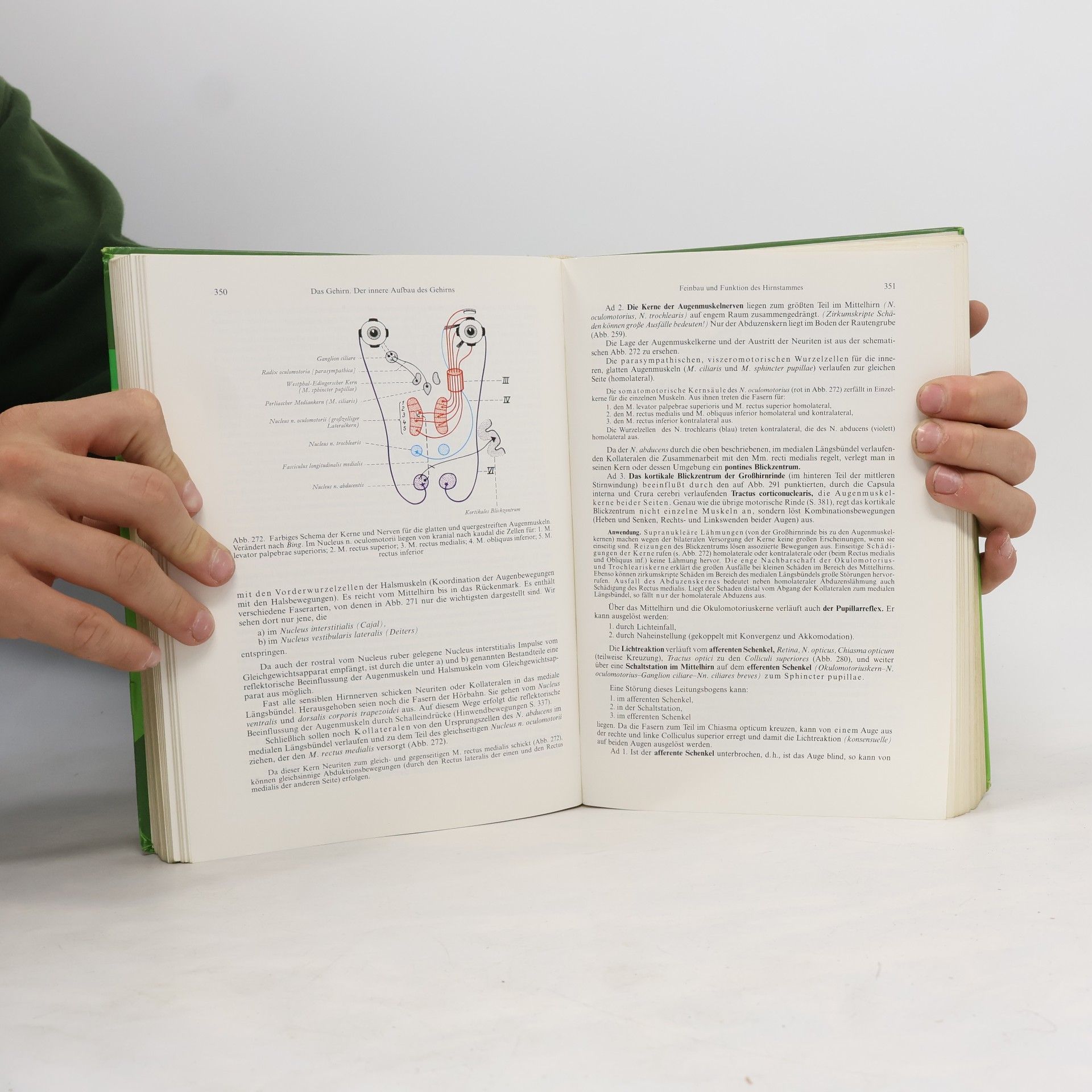 Anton Waldeyer Anatomie des Menschen für Studierende und Ärzte 2
