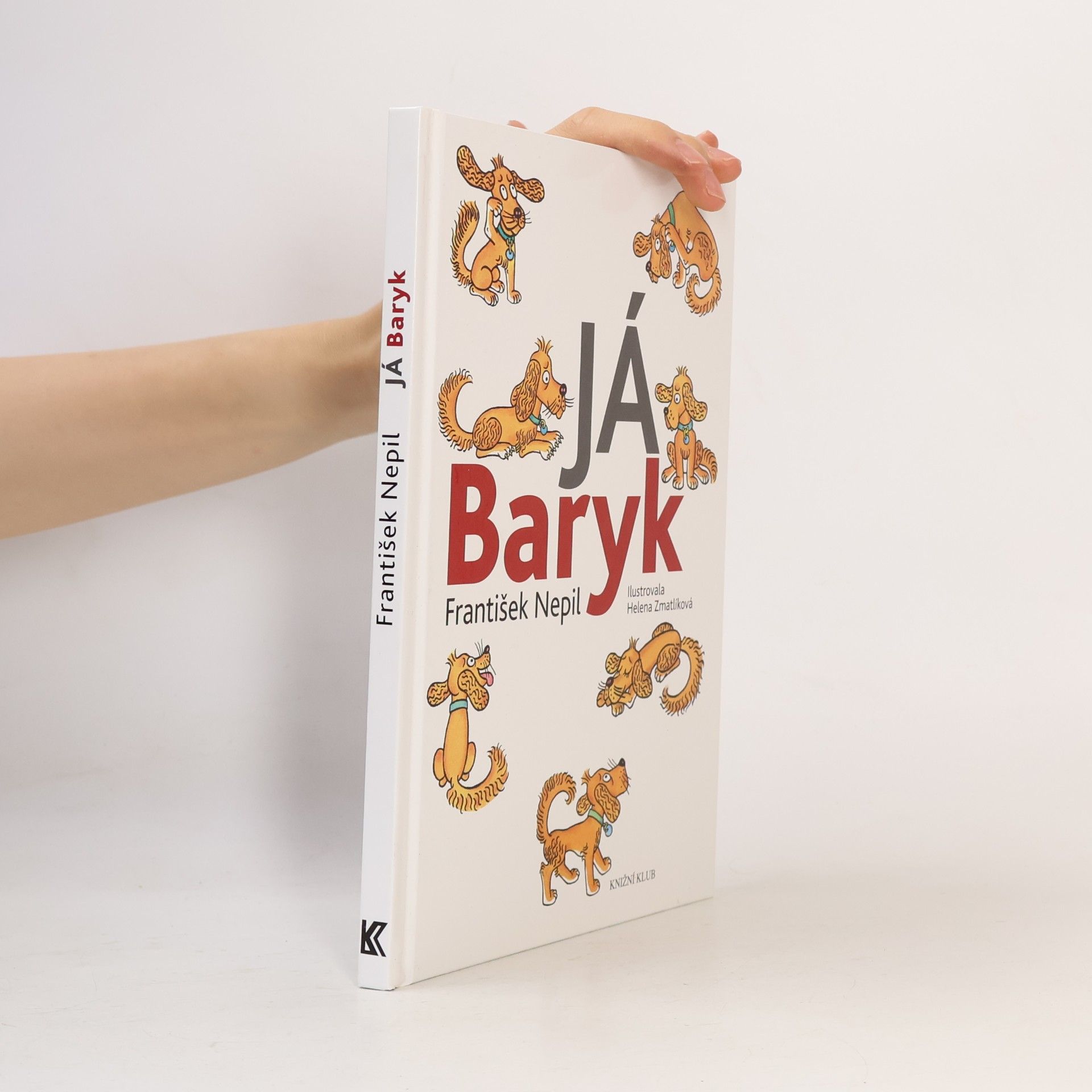 František Nepil Já, Baryk