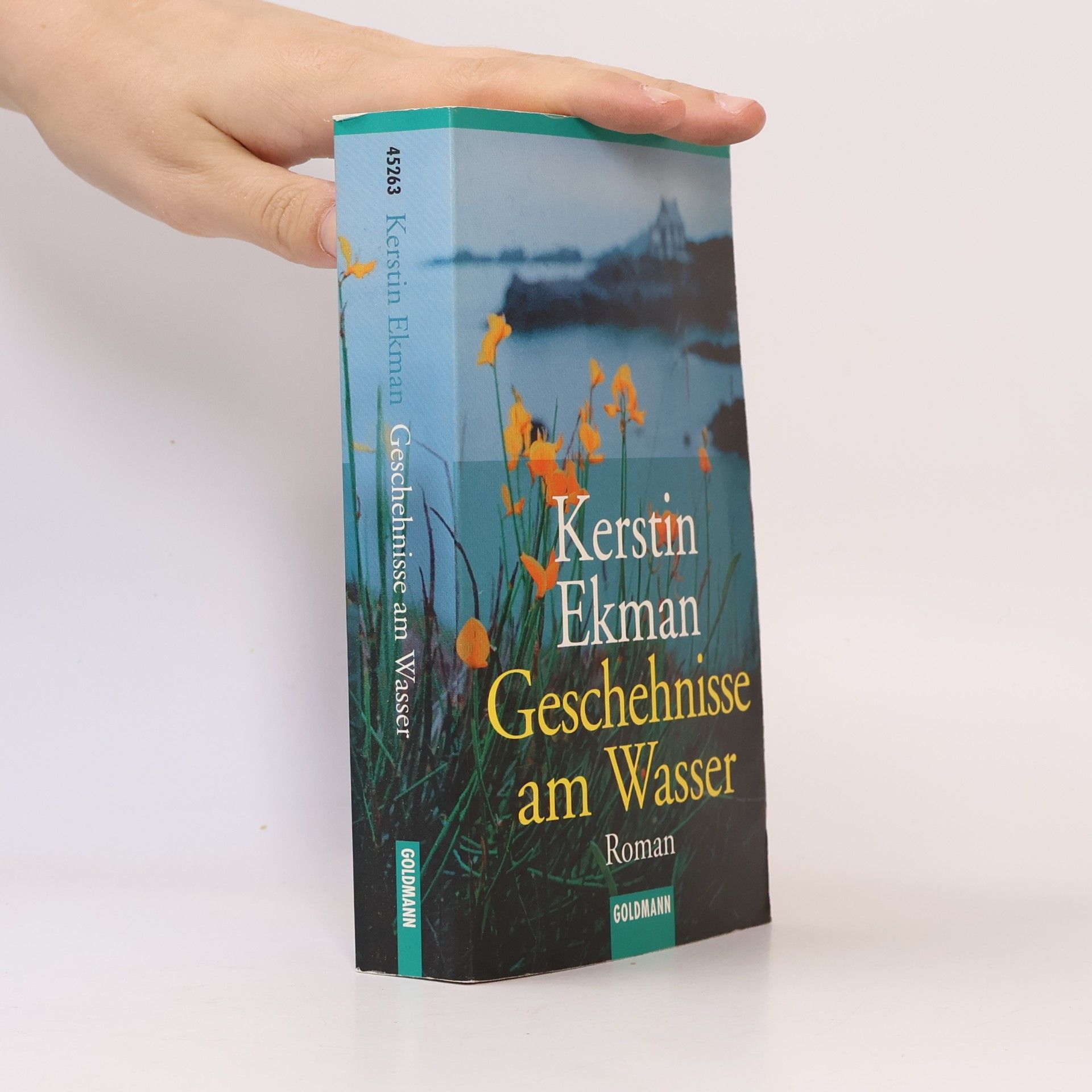 Kerstin Ekman Geschehnisse am Wasser