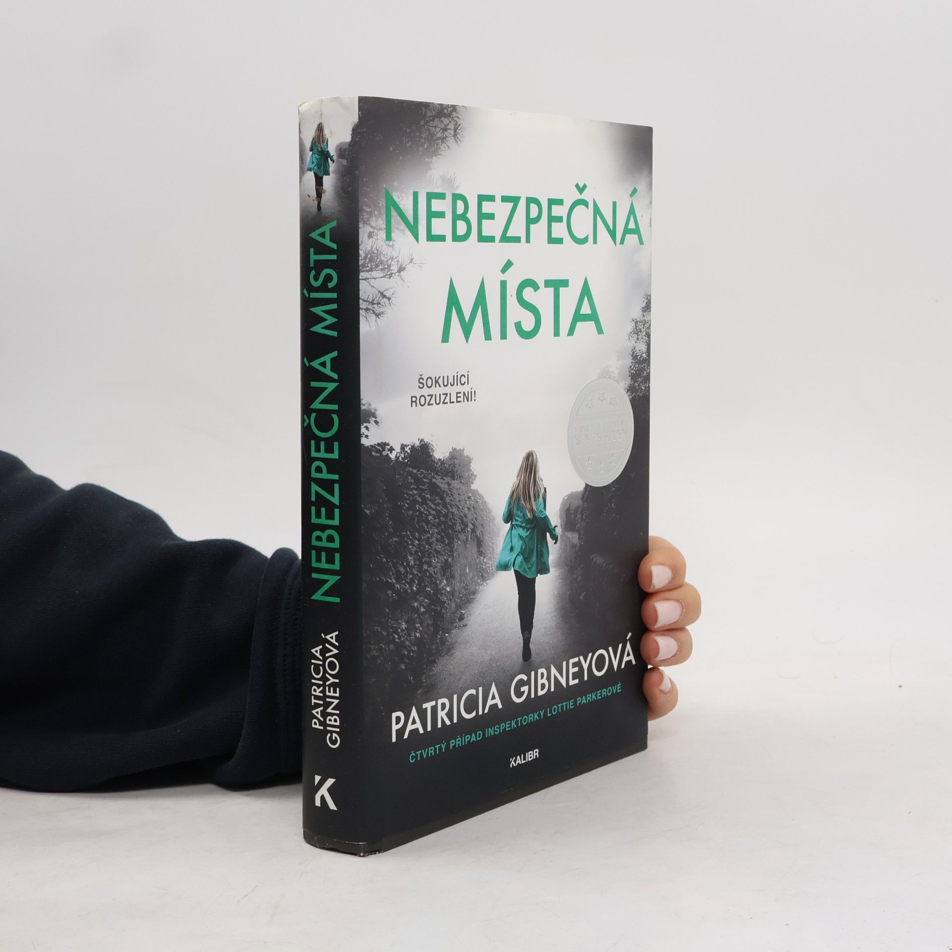 Patricia Gibney Nebezpečná místa