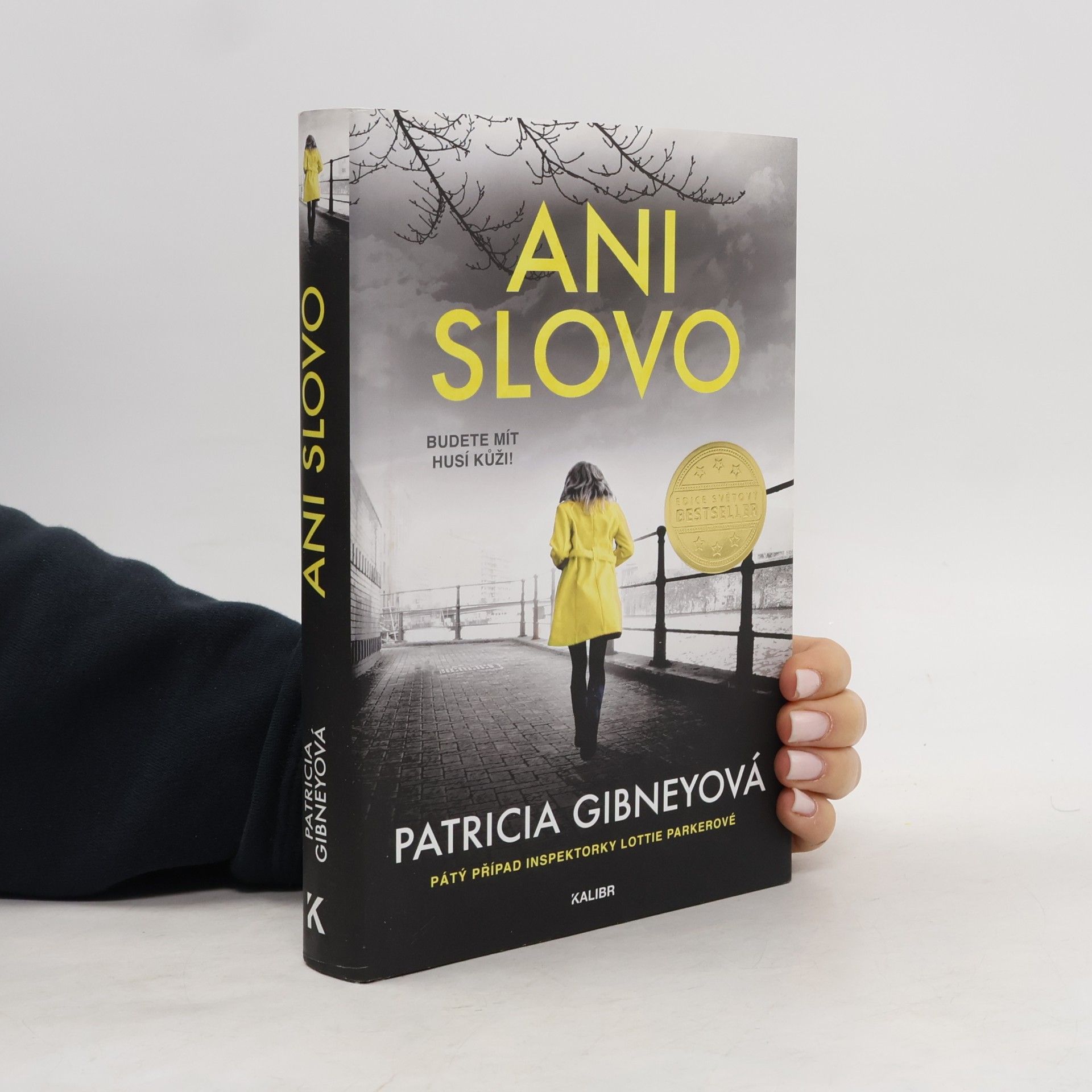 Patricia Gibney Ani slovo