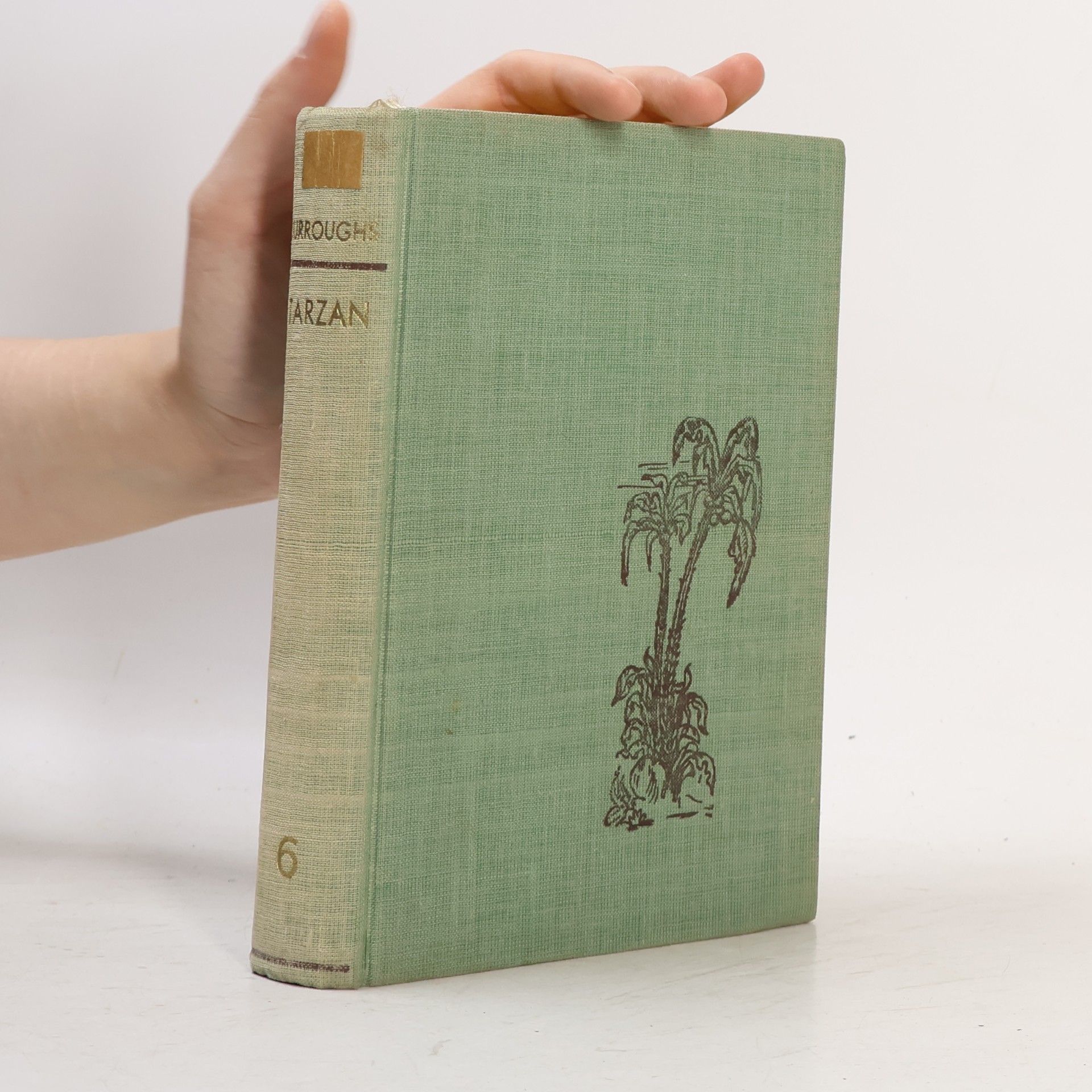 Edgar Rice Burrroughs Tarzan 6