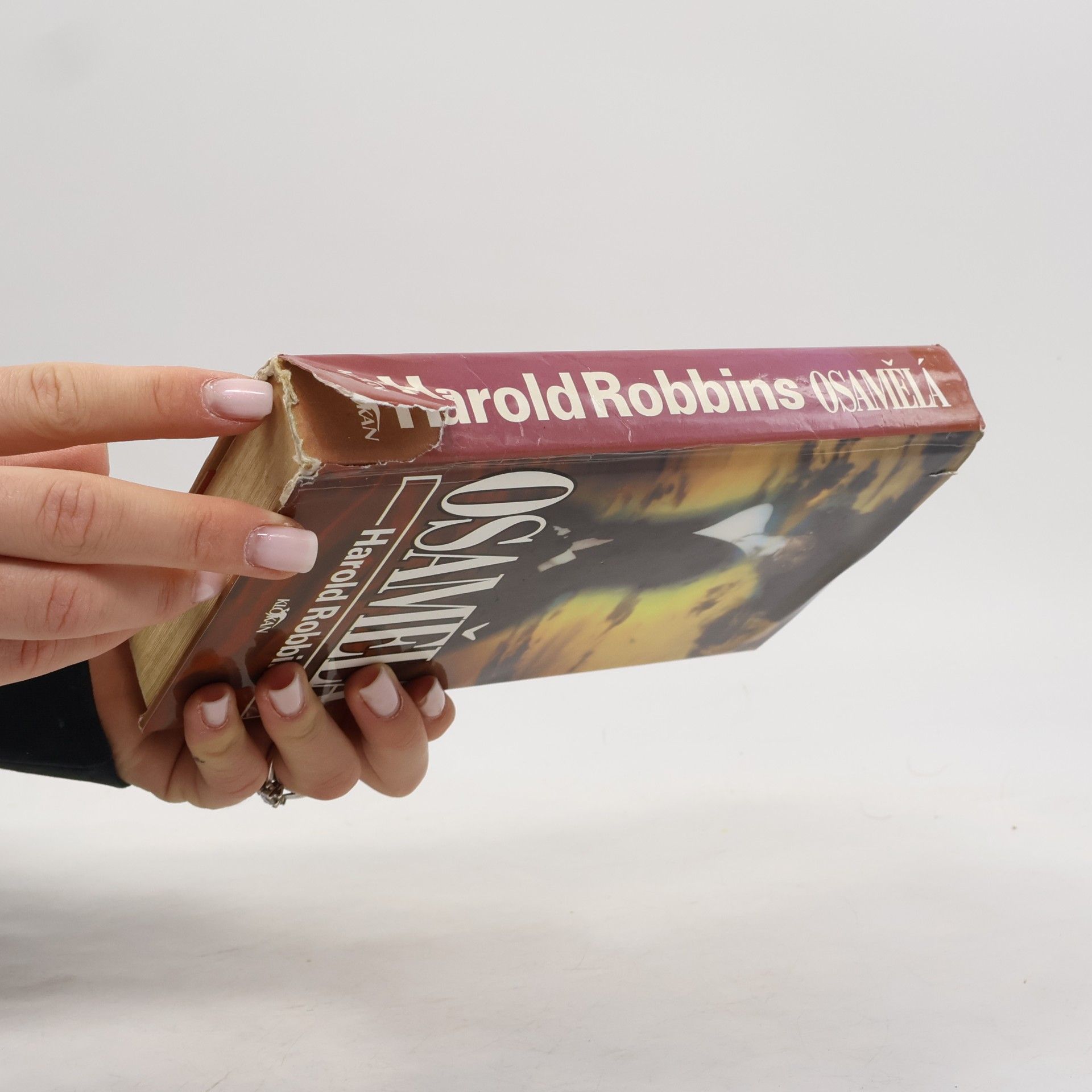 Harold Robbins Osamělá