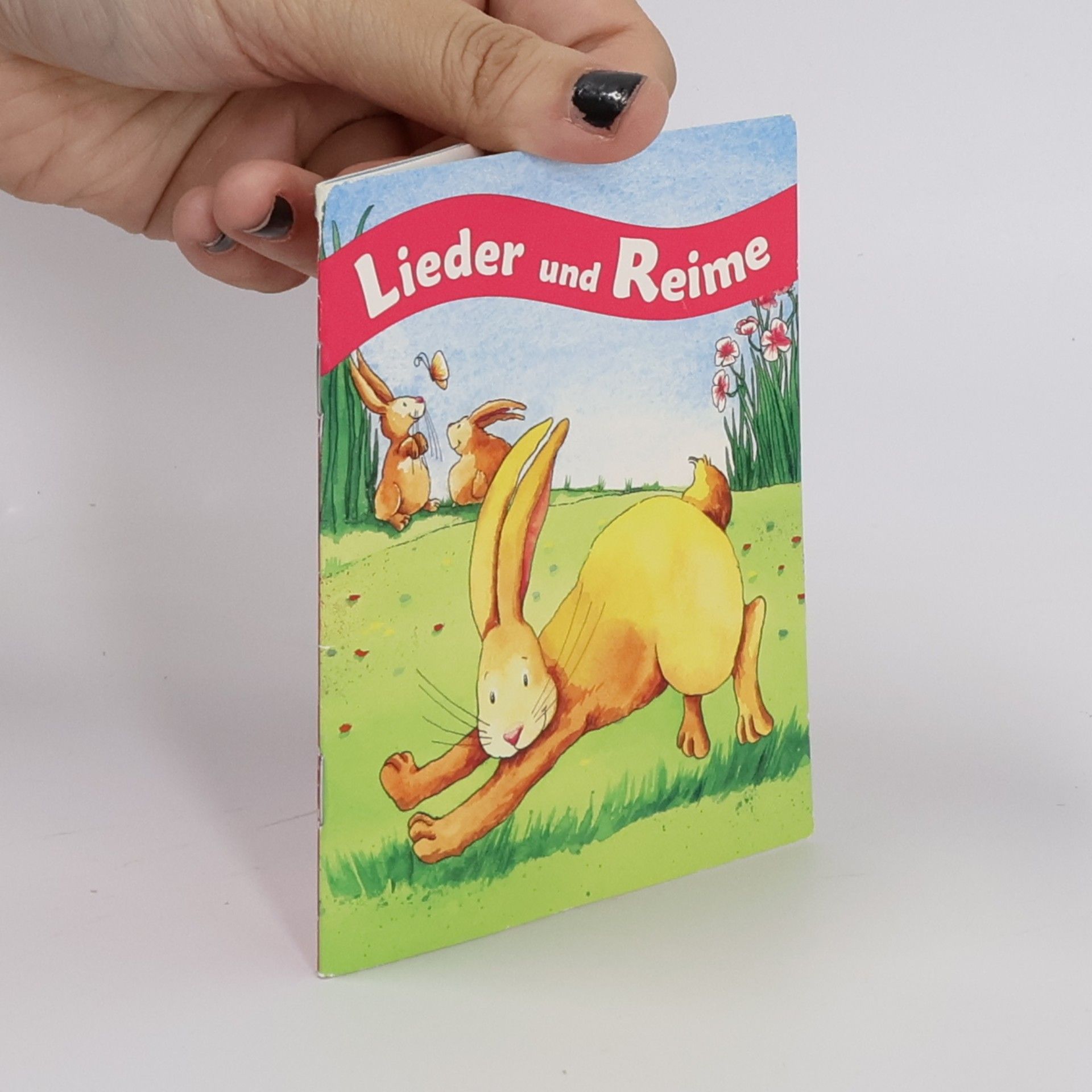 Autorenkollektiv Lieder und Reime