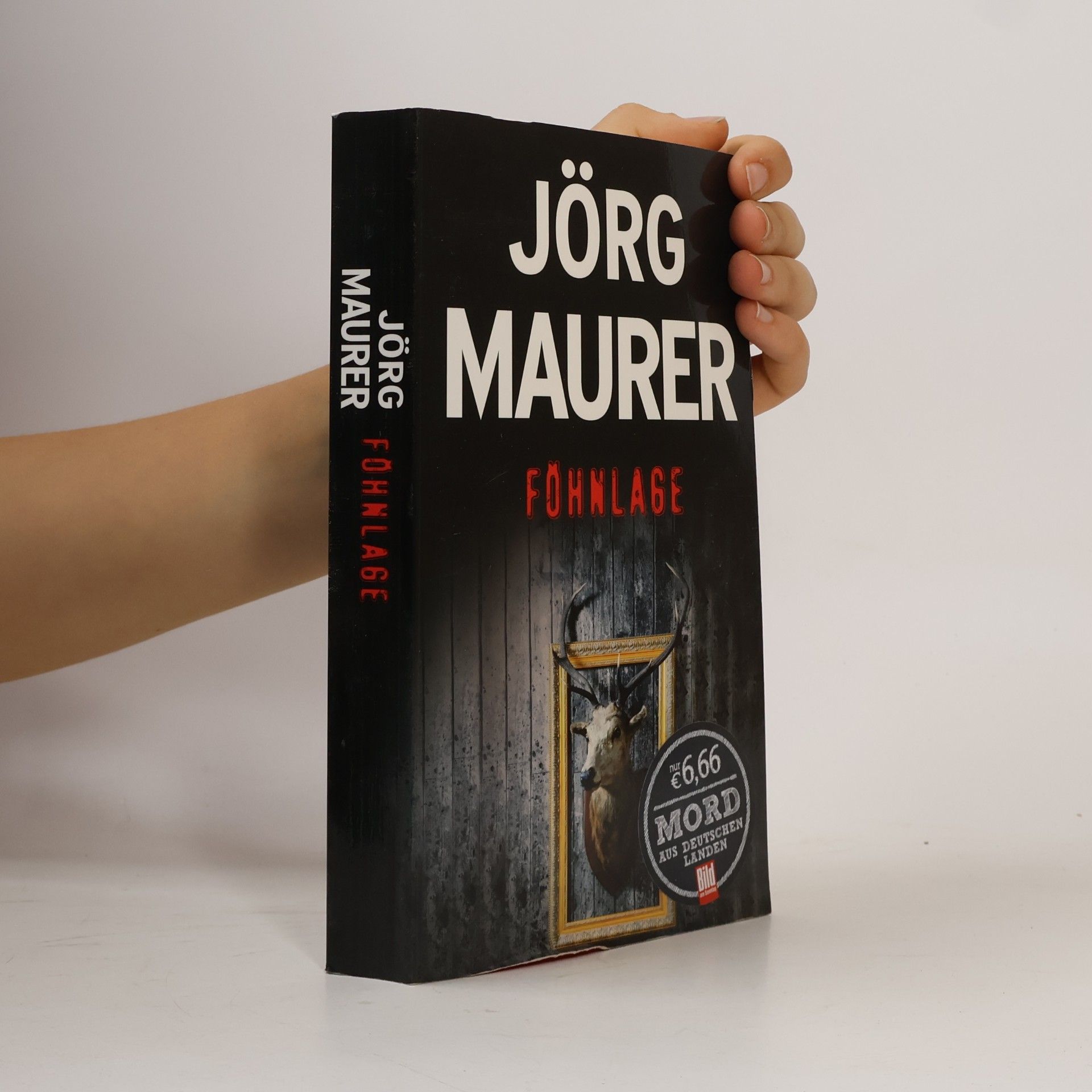 Jörg Maurer Föhnlage