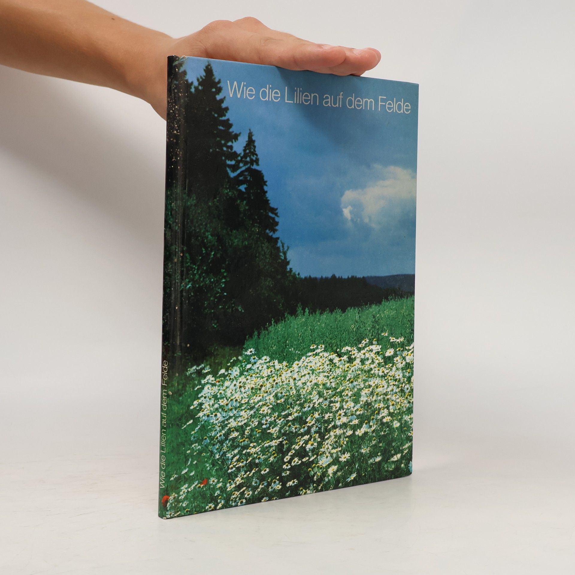 Reinhold Schönemund Wie die Lilien auf dem Felde