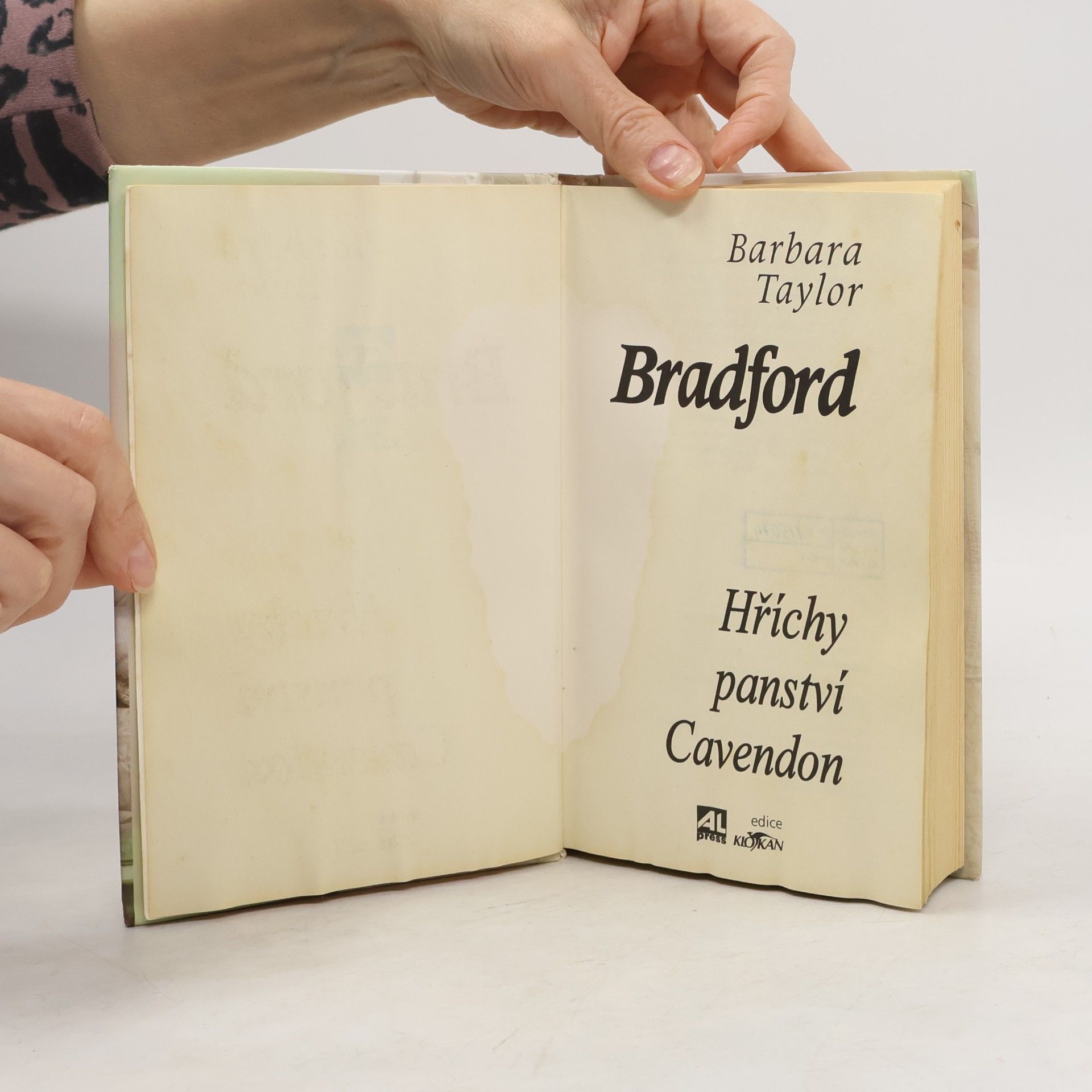 Barbara Taylor Bradford Hříchy panství Cavendon