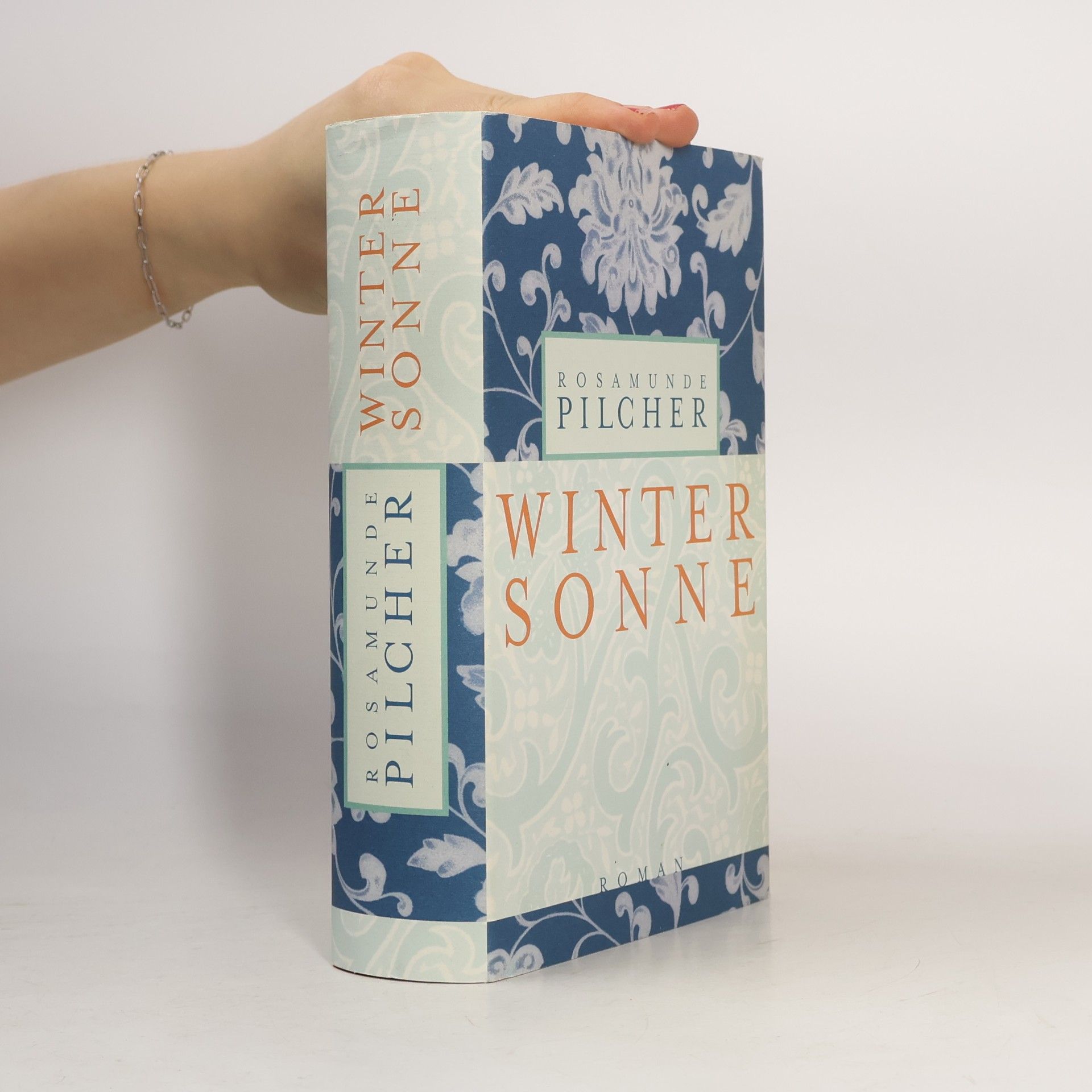 Rosamunde Pilcher Wintersonne