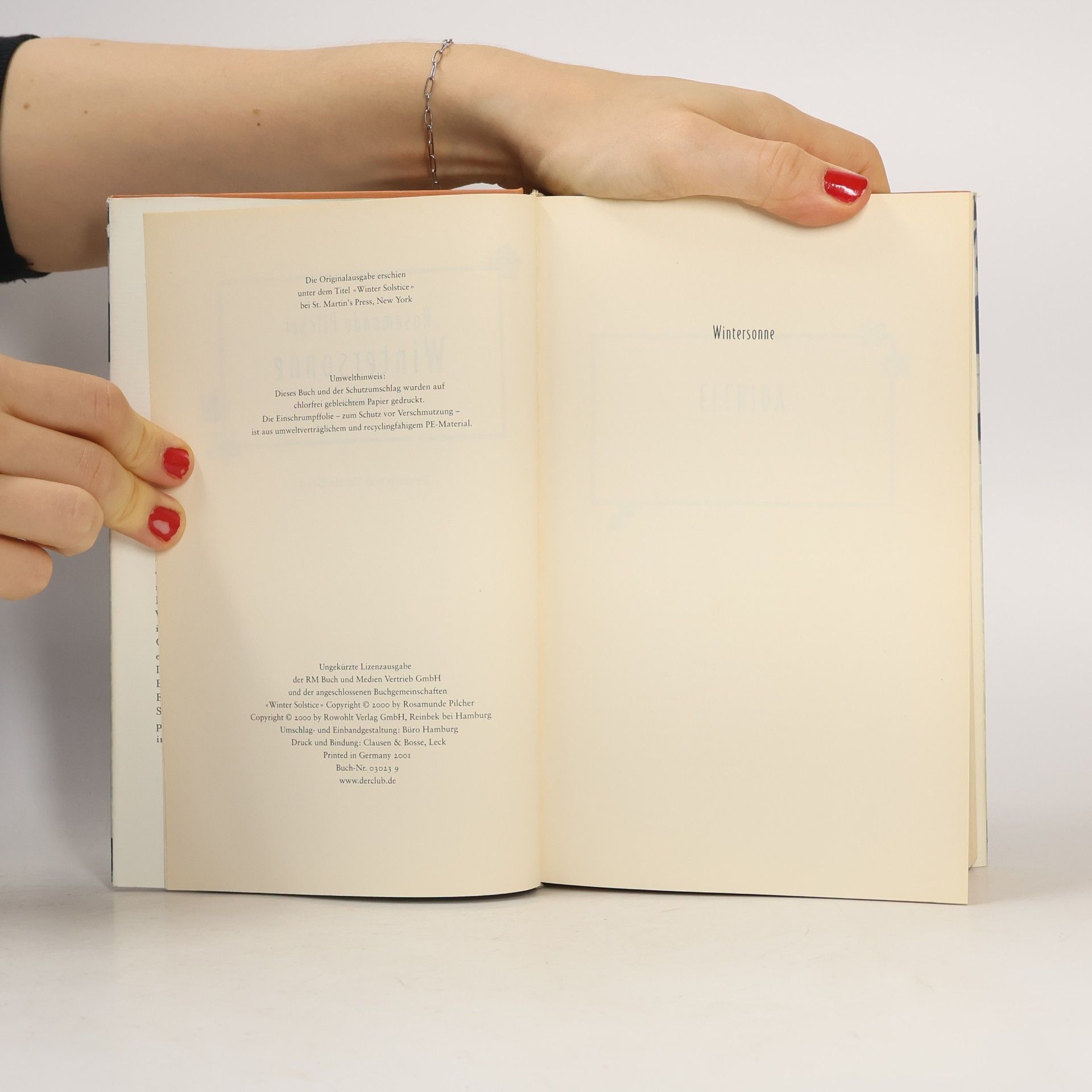 Rosamunde Pilcher Wintersonne