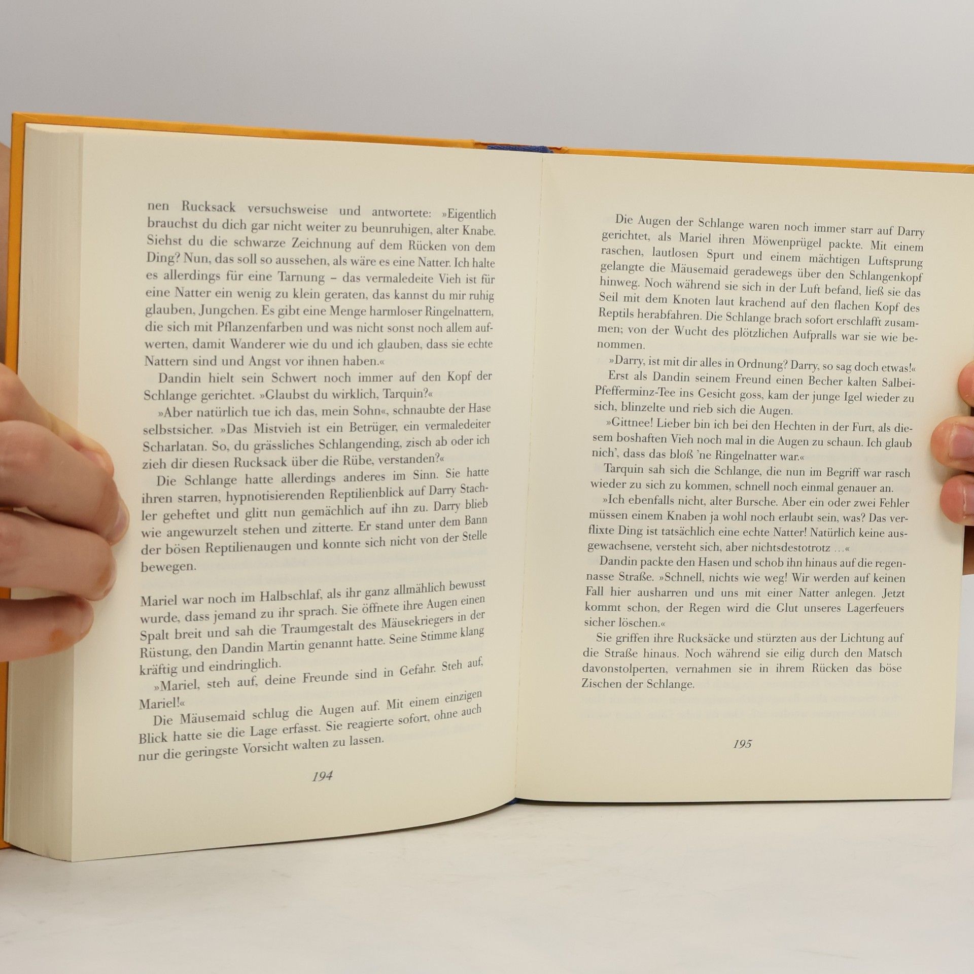 Brian Jacques Mariel. Das Geheimnis der Glocke