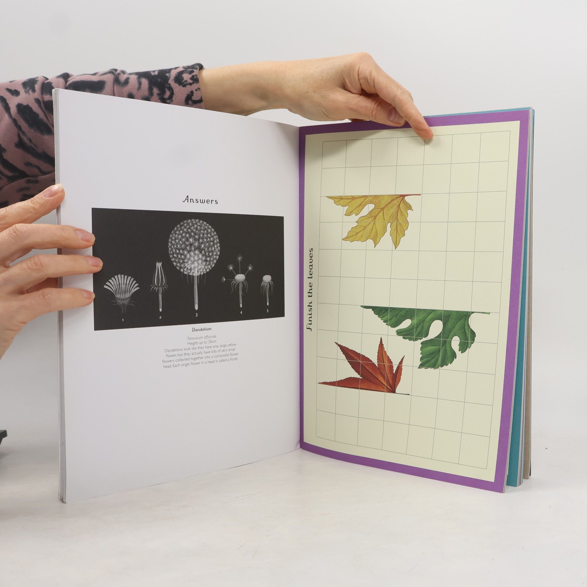 Kathy Willis Botanicum Activity Book