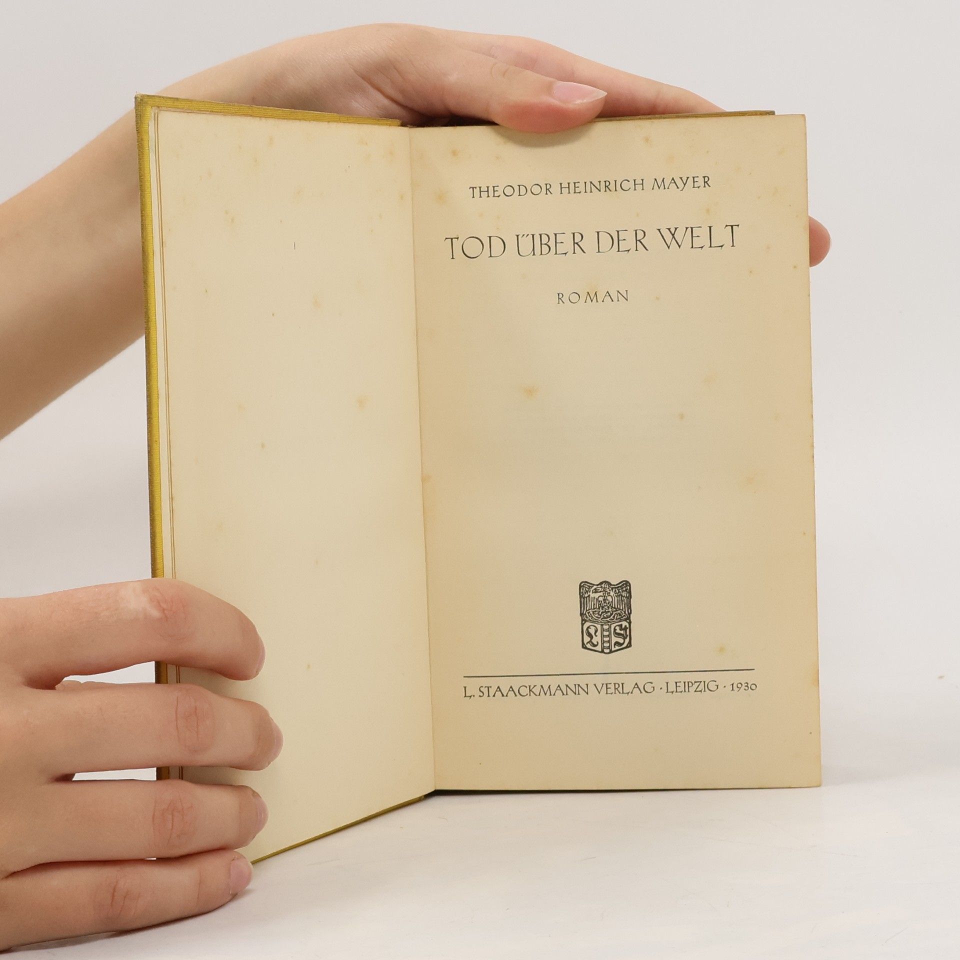 Theodor Heinrich Mayer Tod über der Welt