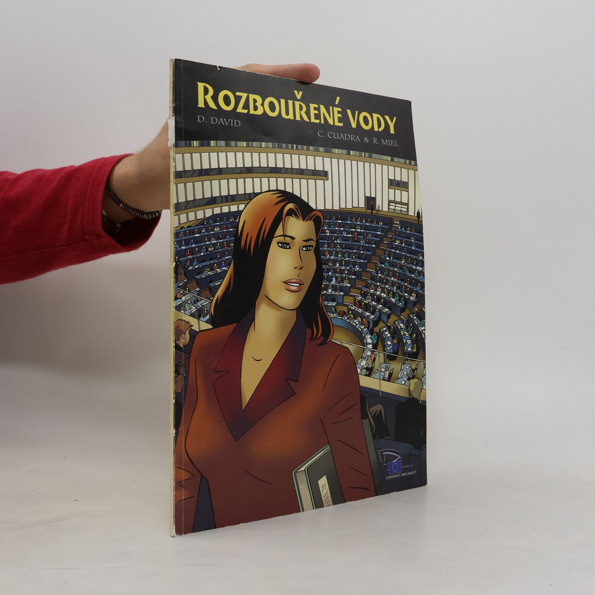 Rudi Miel Rozbouřené vody