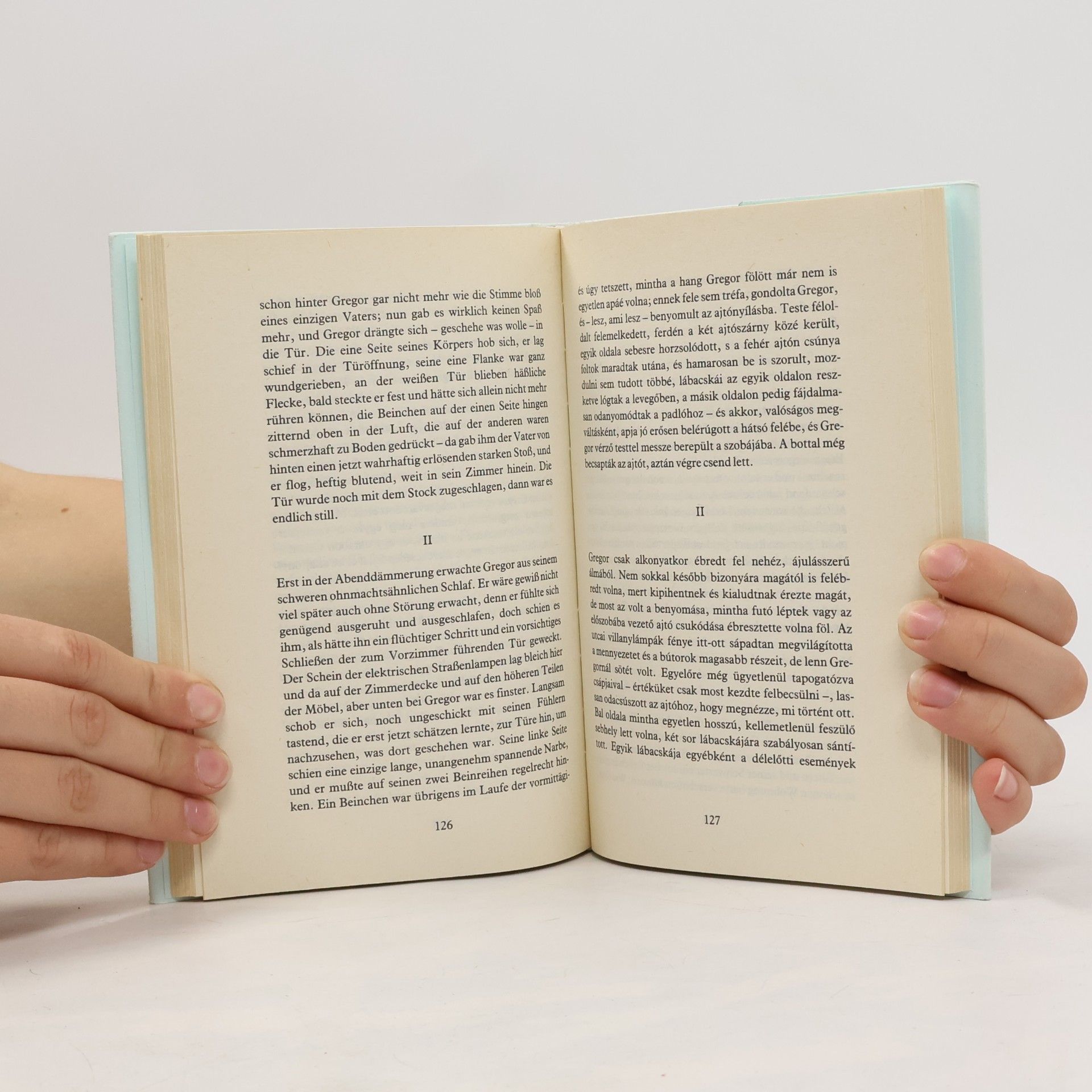 Franz Kafka Az átváltozás. Die Verwandlung
