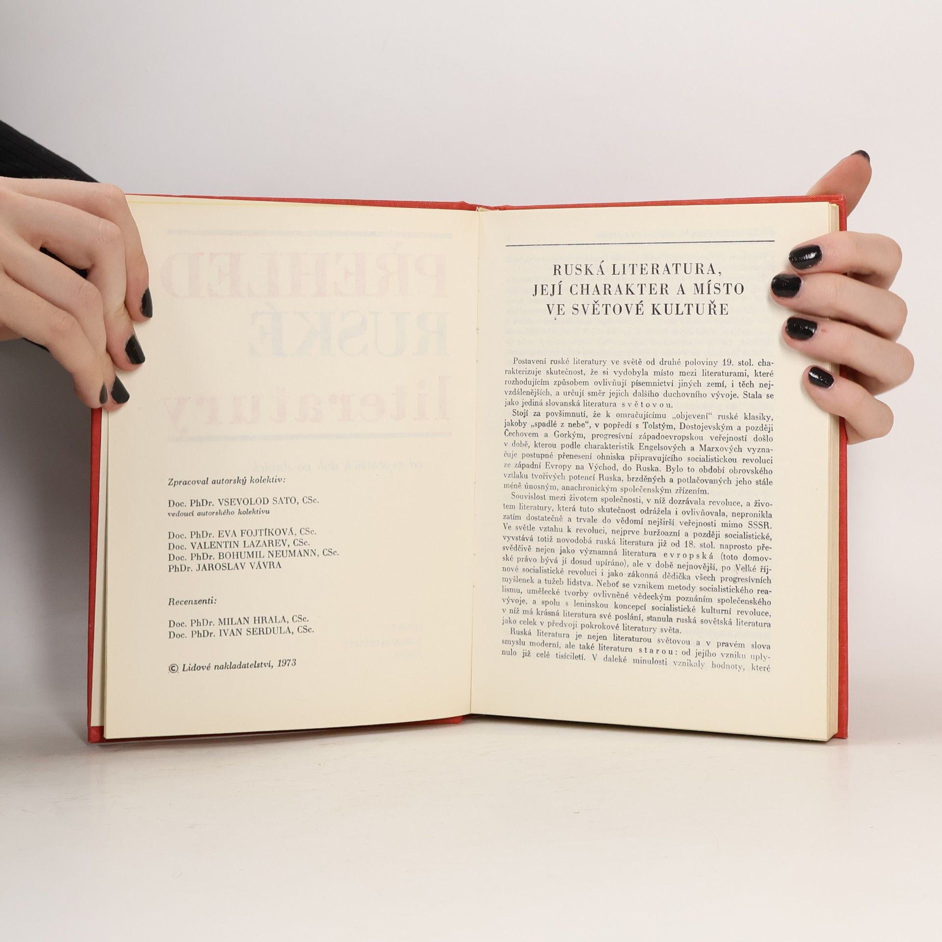 Kolektív autorov Přehled ruské literatury. Od nejstarších dob po dnešek