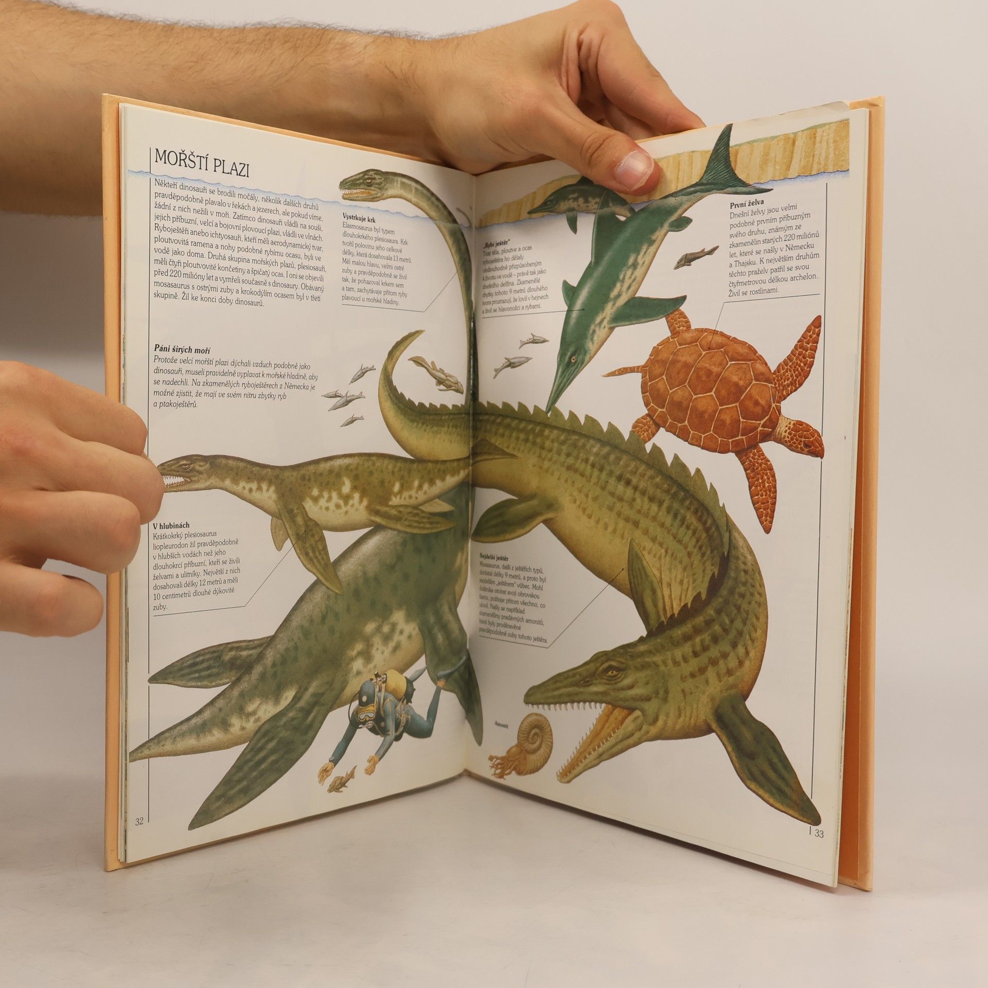 Auteurscollectief Jak žili dinosauři