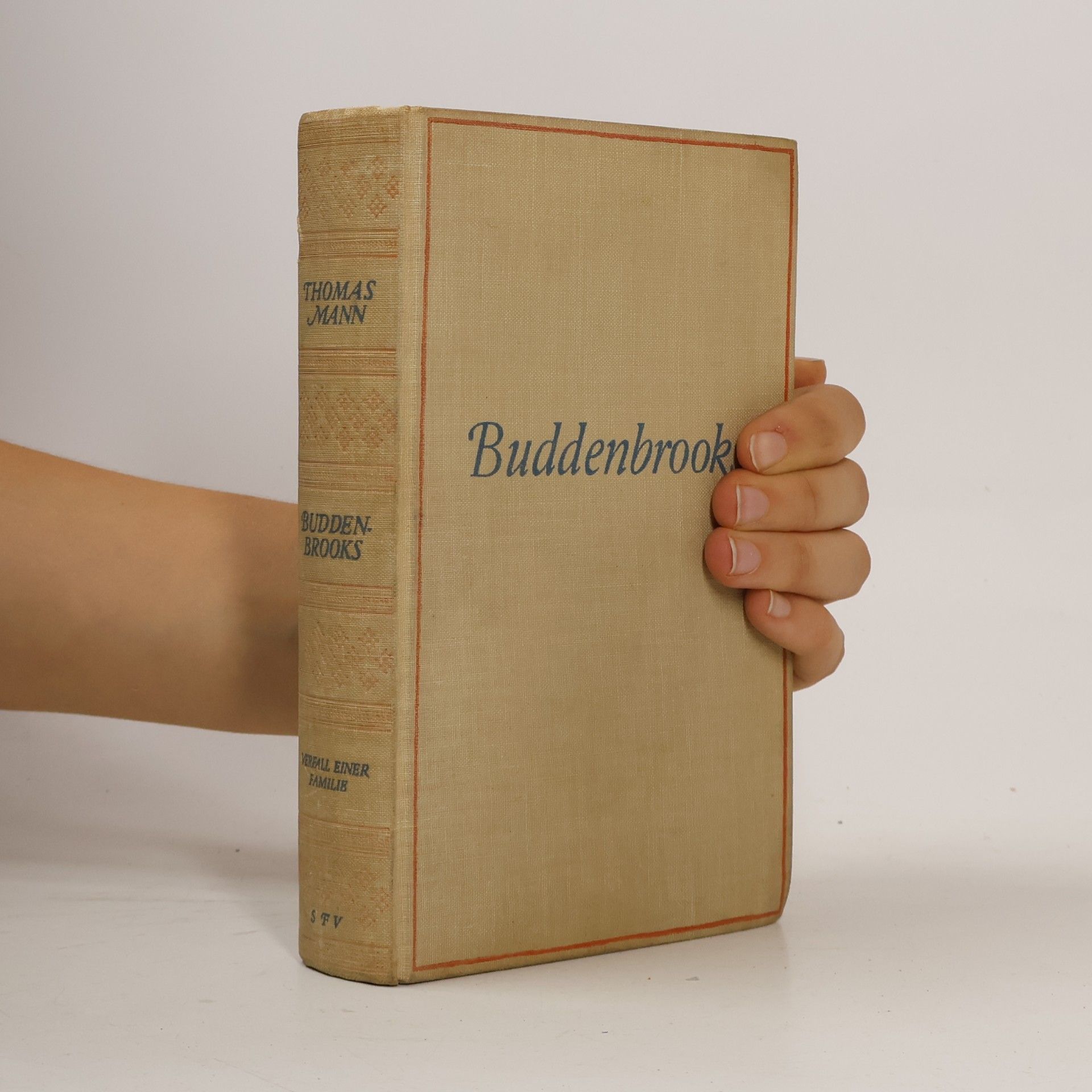 Thomas Mann Buddenbrooks. Verfall einer Familie
