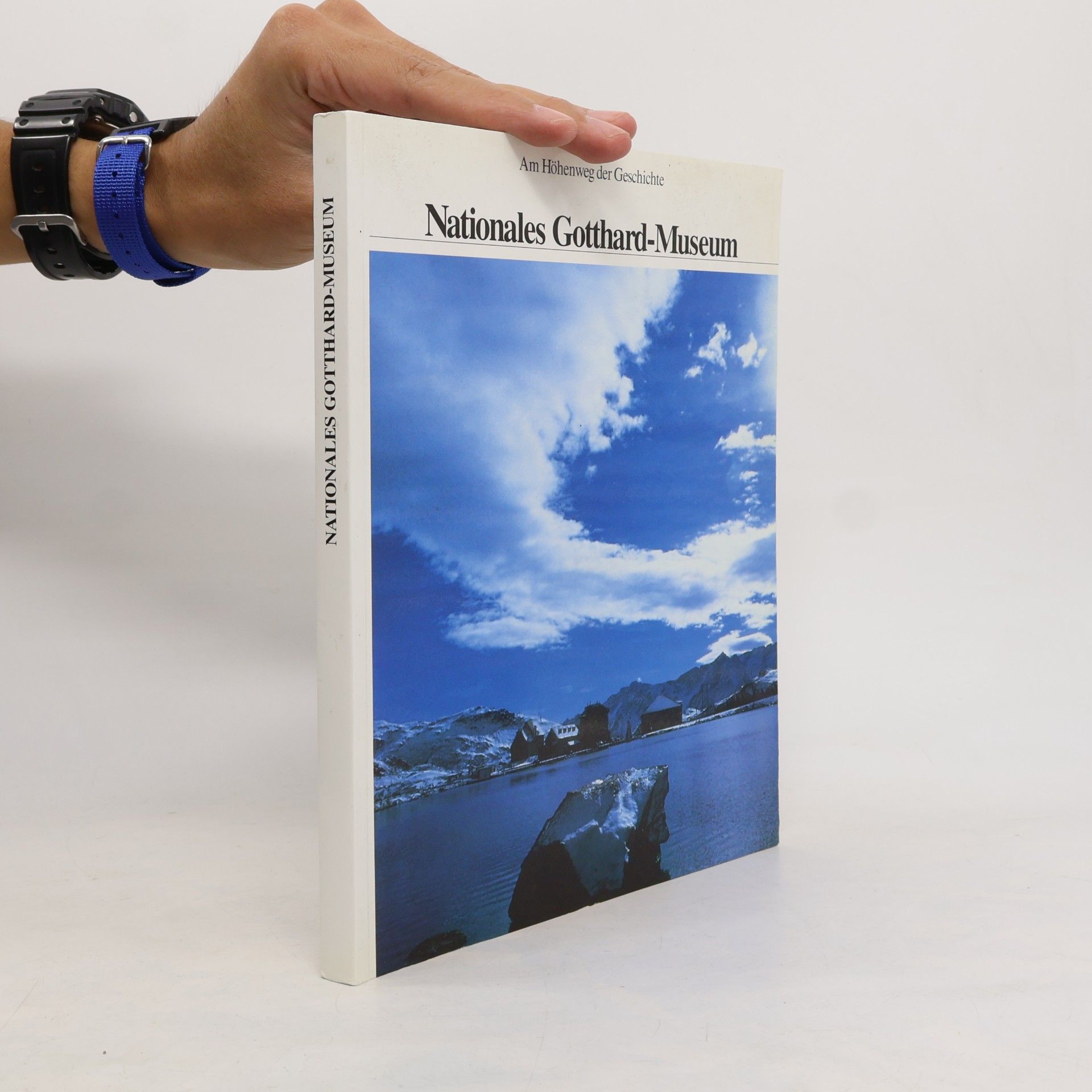 kolektiv Nationales Gotthard-Museum