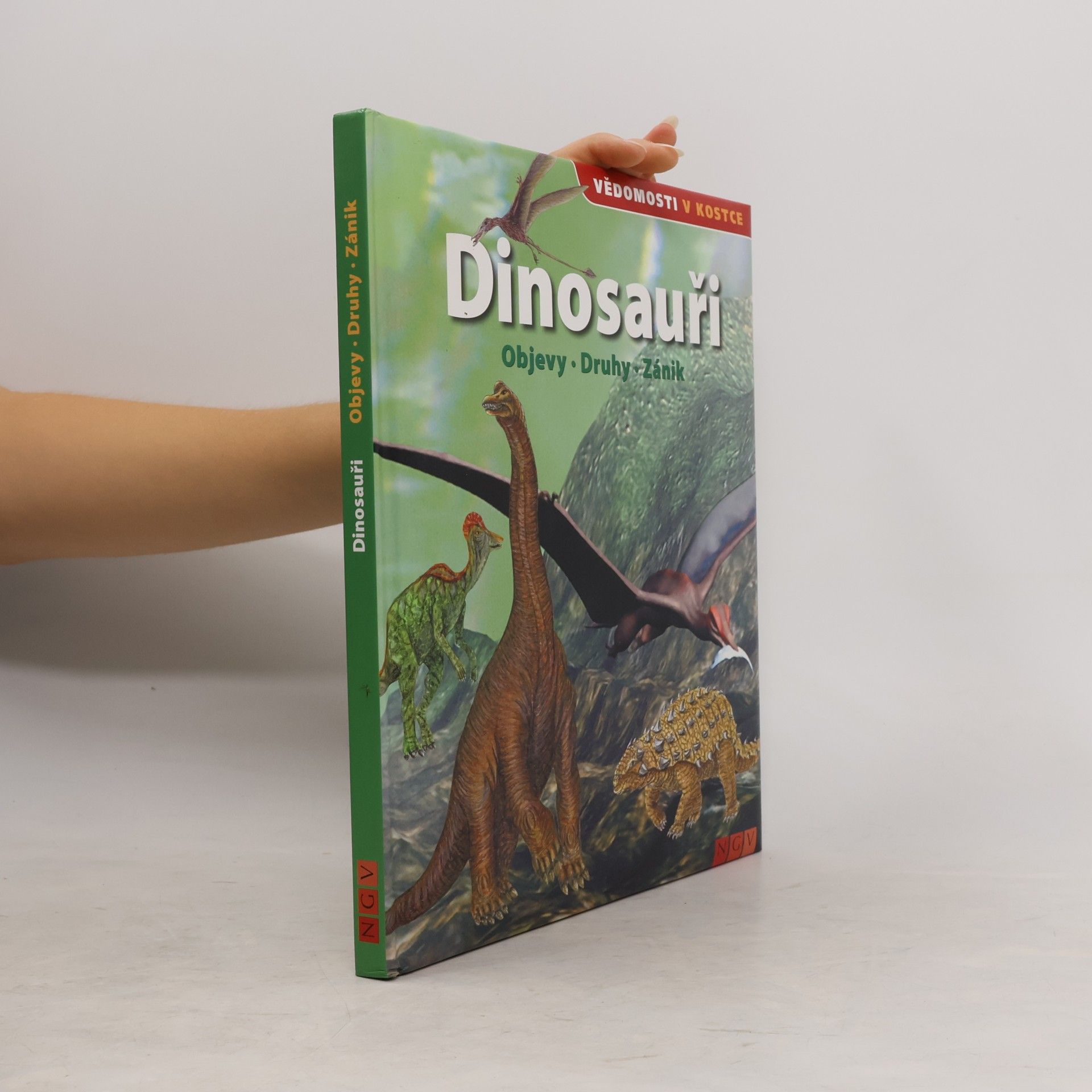 Autorenkollektiv Dinosauři