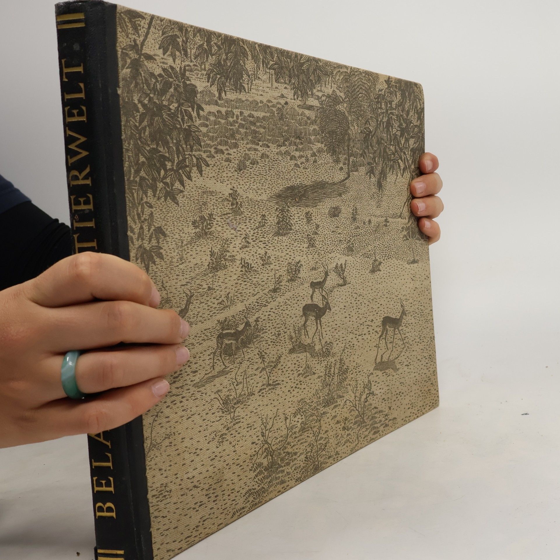 Various authors Belauschte Tierwelt