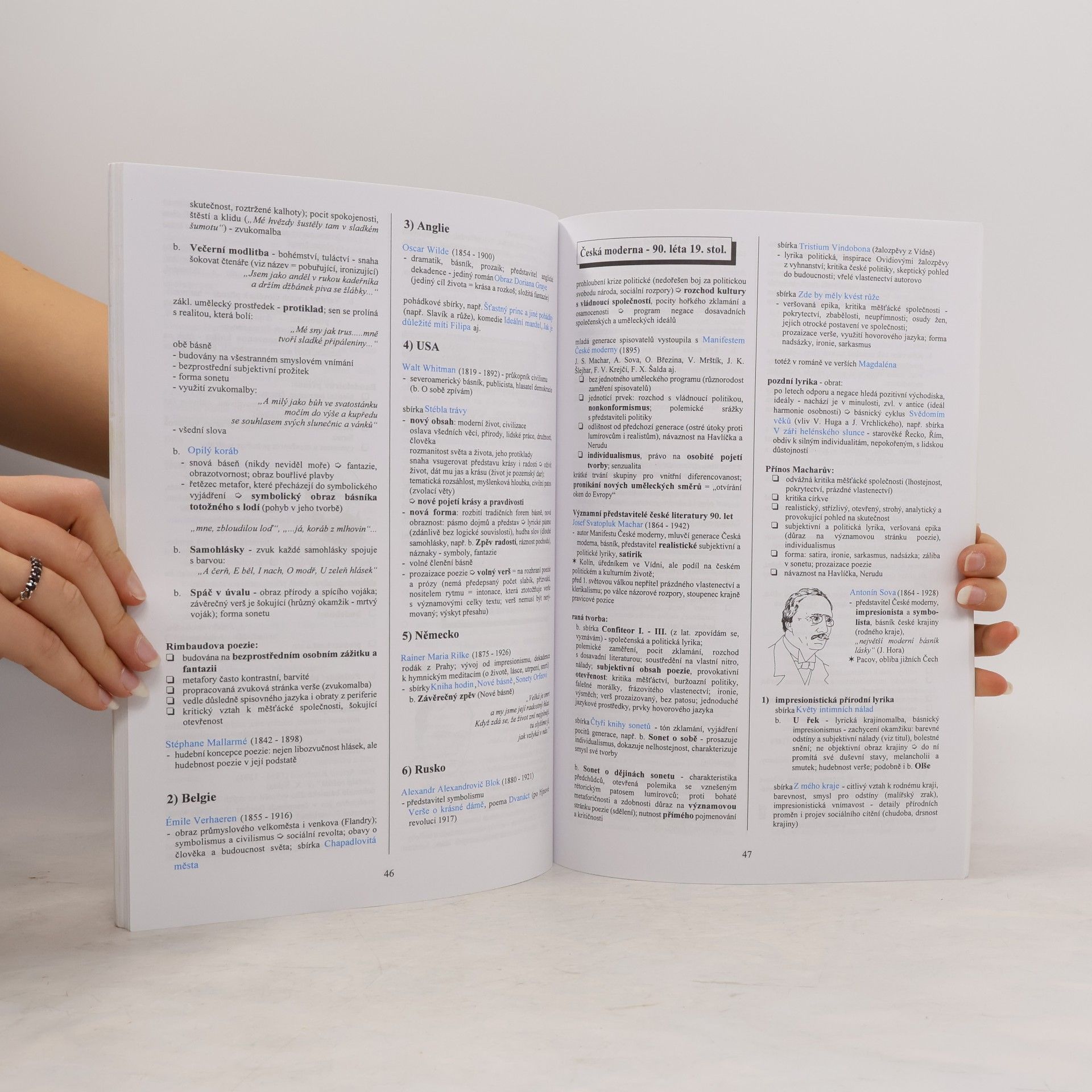 Marie Sochrová Literatura v kostce pro střední školy