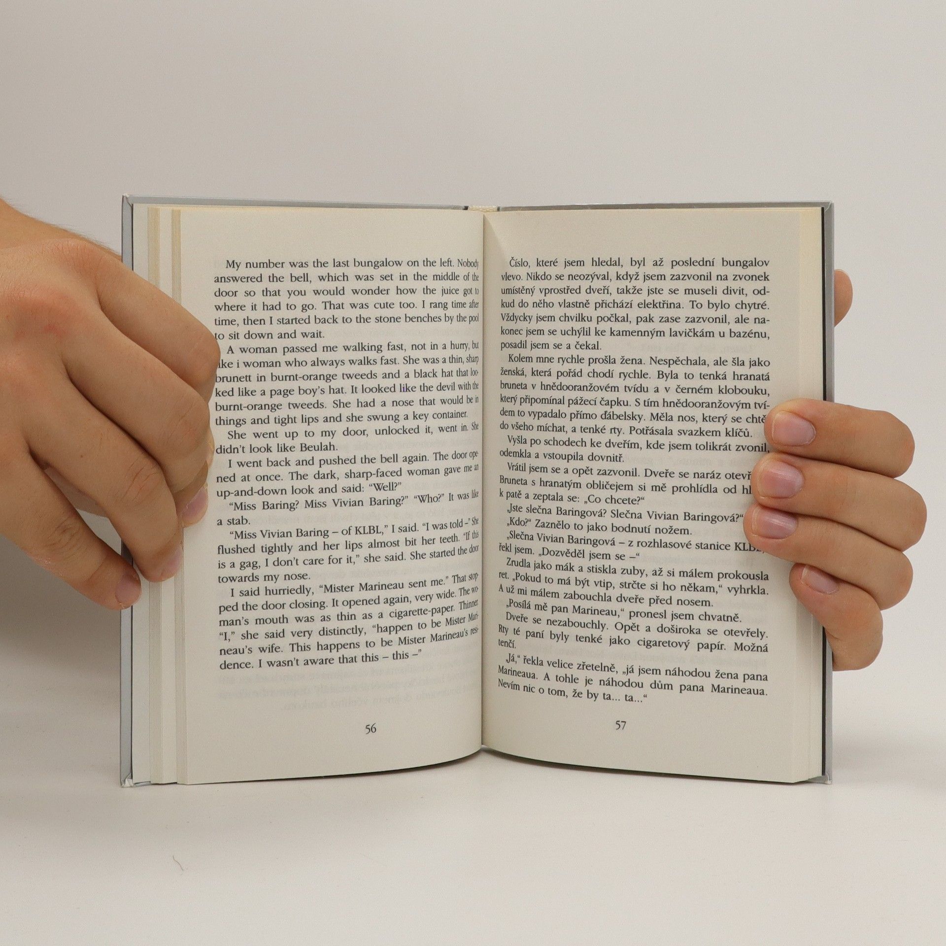 Raymond Chandler Najděte to děvče / Try the Girl